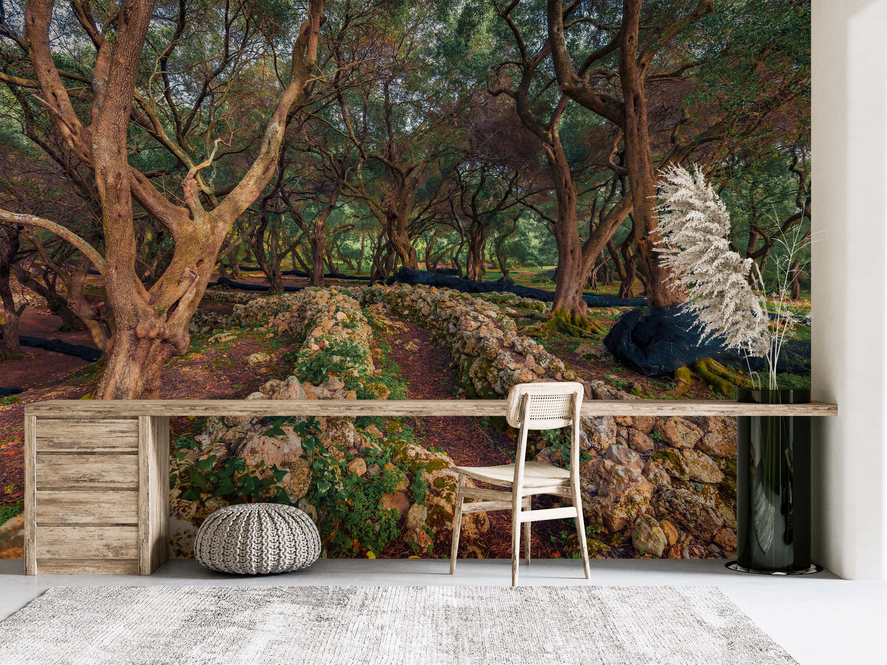 A photorealistic mural of an ancient olive grove with gnarled trees, a stone path, and lush green and brown foliage.