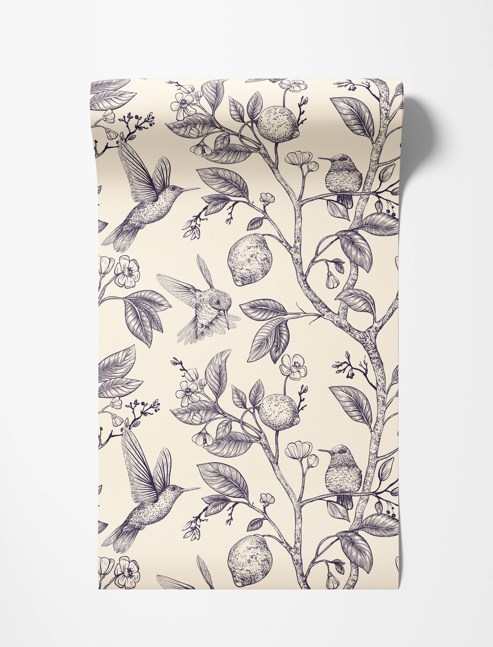 A vintage-style wallpaper featuring detailed navy line drawings of hummingbirds, lemons, and flowers on a cream background.