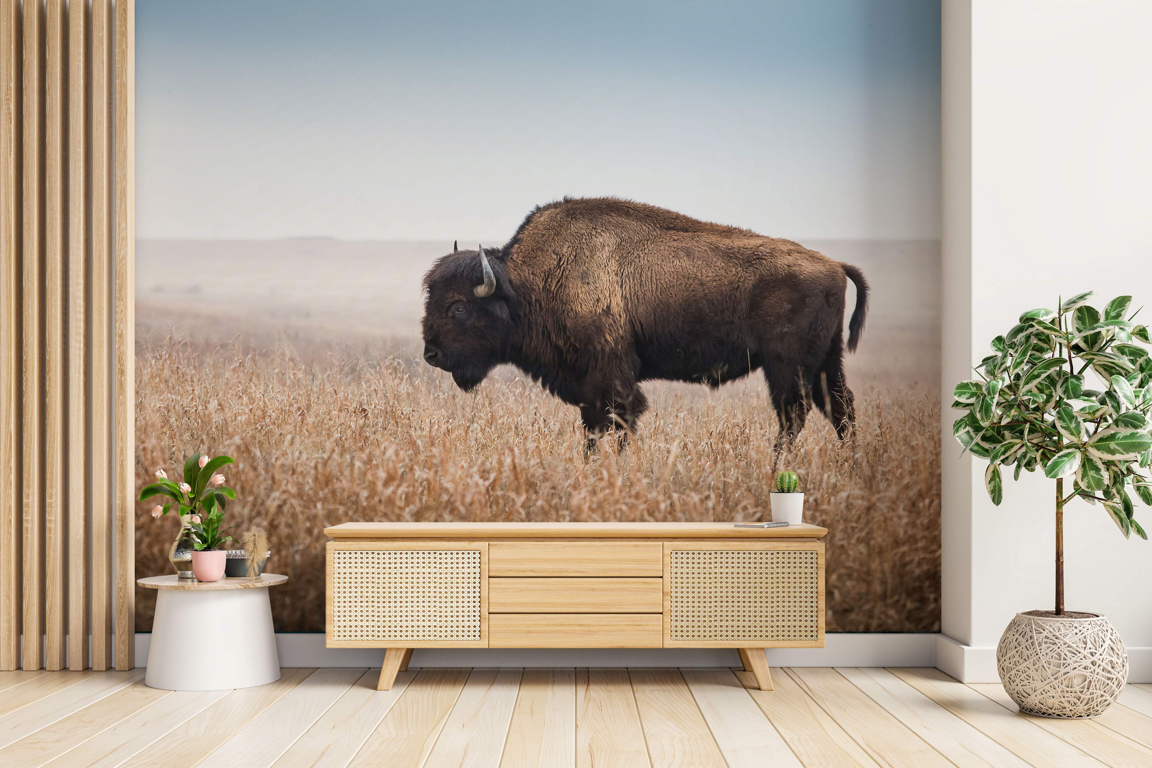 Wall mural depicting a large brown bison standing in a field of tall, golden-brown grass under a pale blue, hazy sky.