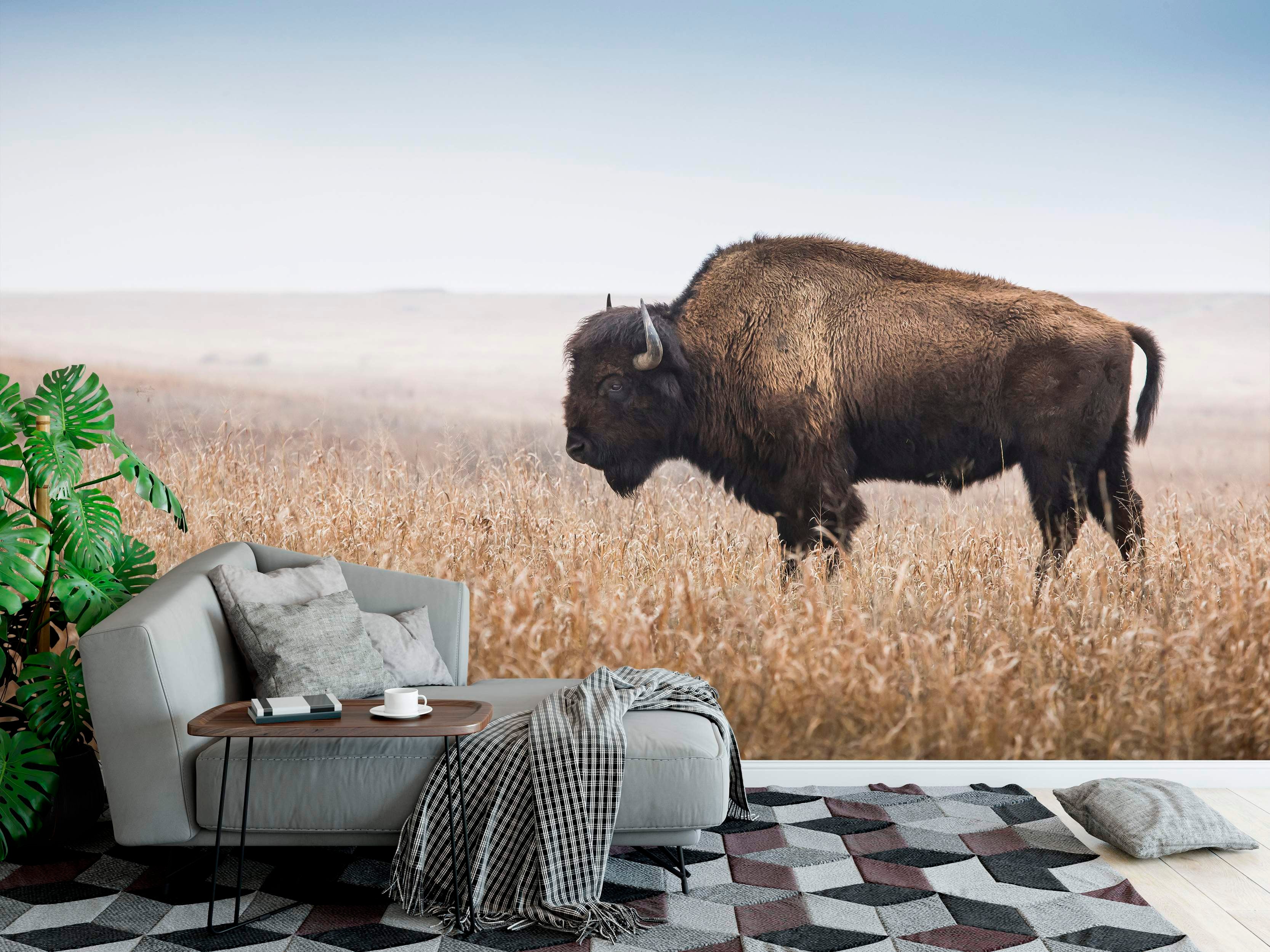 Wall mural depicting a large brown bison standing sideways in a field of dry tan grass under a pale hazy blue sky.