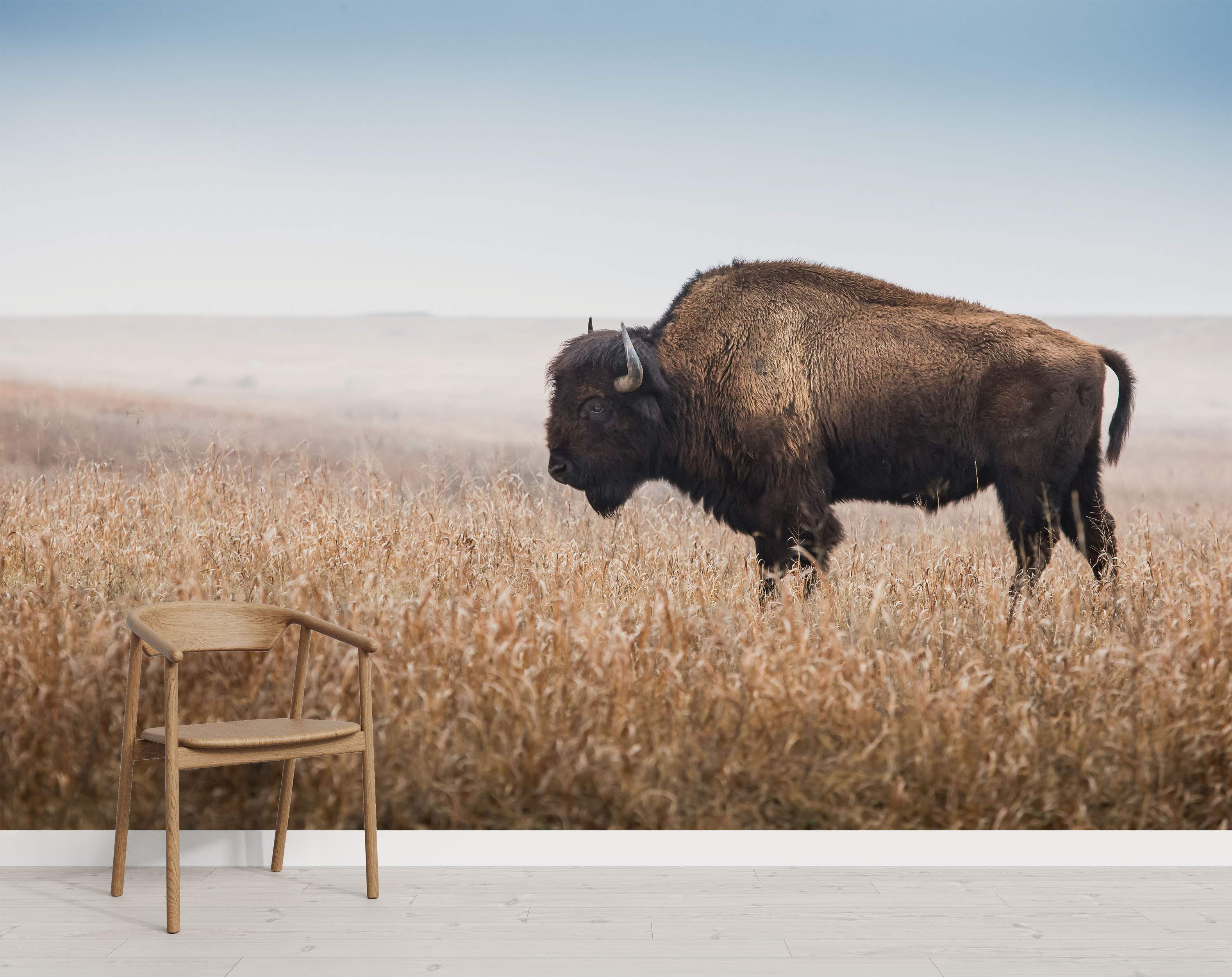 Photographic mural depicting a large brown bison standing in a field of tall, dry, golden grass under a hazy sky.