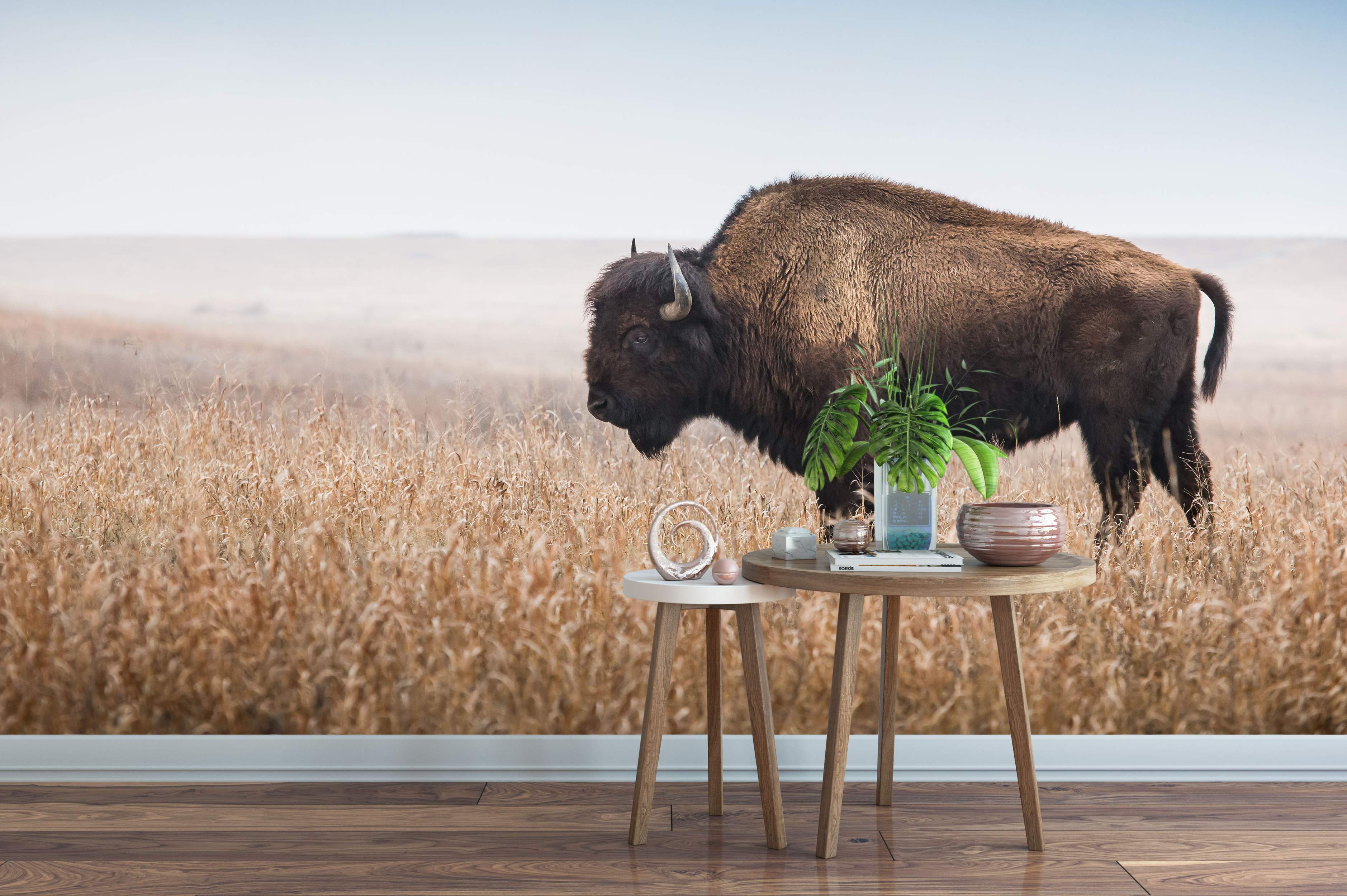 Photorealistic wall mural featuring a large brown bison standing in a field of dry, golden grass under a pale blue sky.