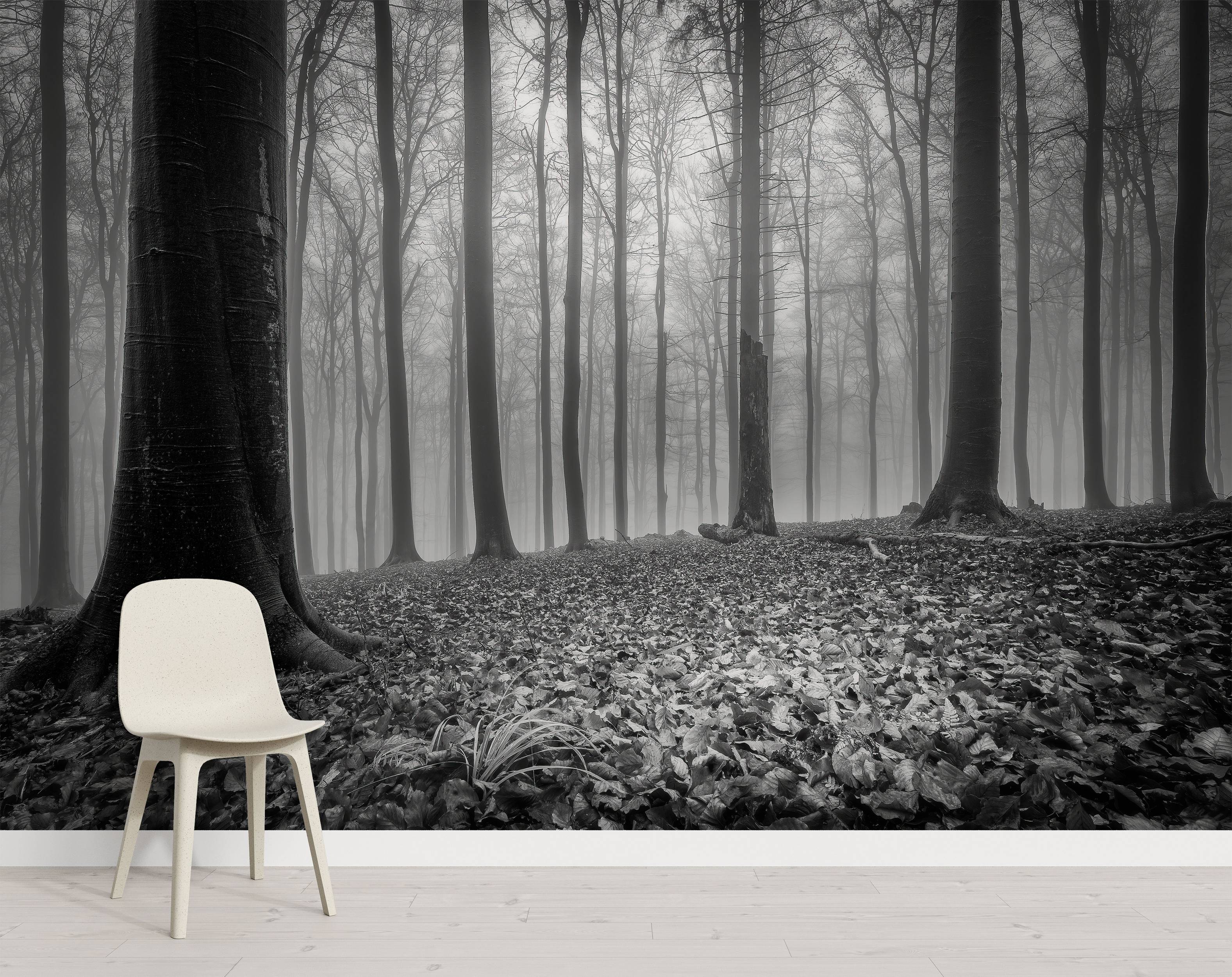 A black and white mural depicting a foggy, atmospheric forest with bare trees and a leaf-covered ground.