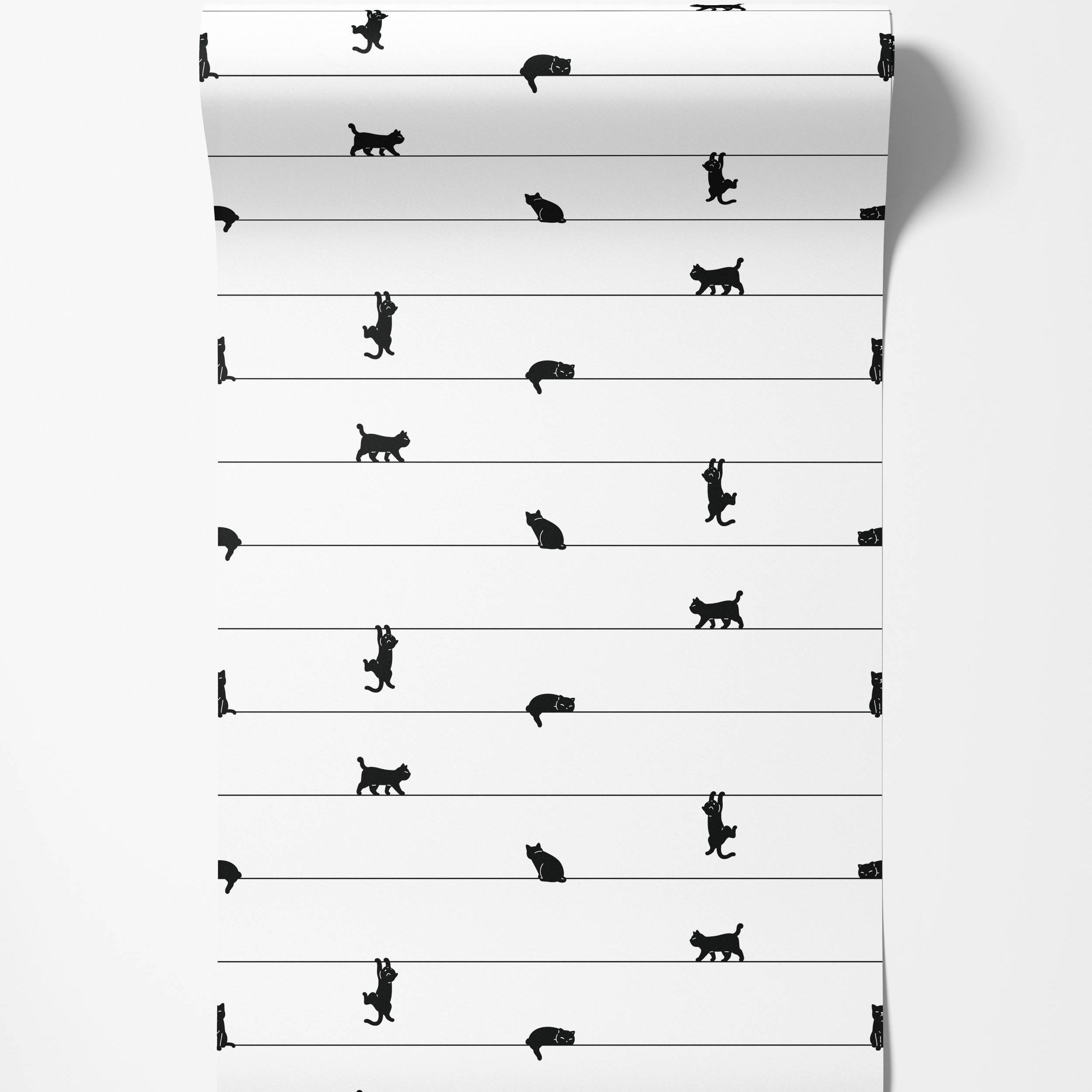 A playful wallpaper with black cat silhouettes in various poses on thin horizontal black lines against a white background.