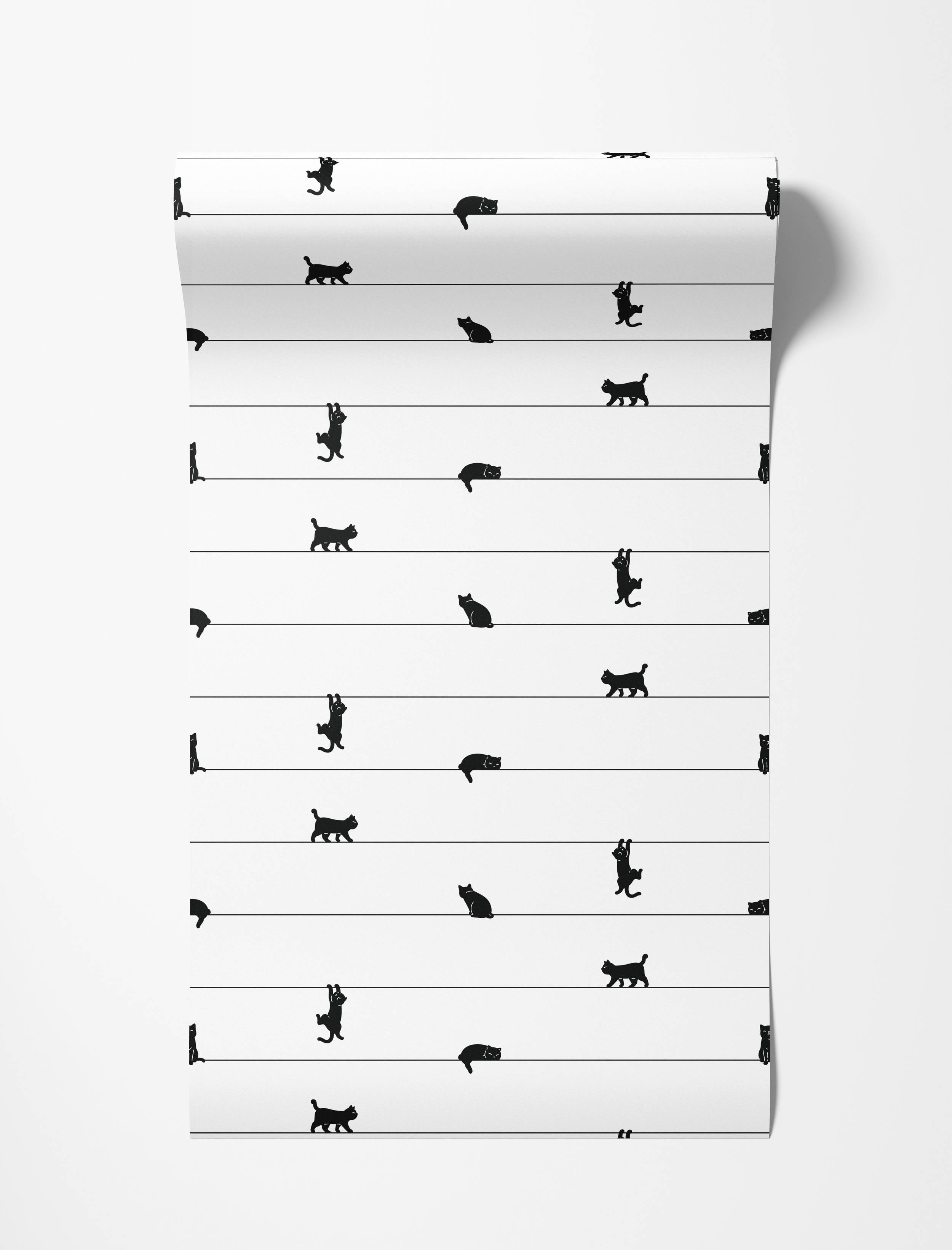 A playful wallpaper with black cat silhouettes in various poses on thin horizontal black lines against a white background.