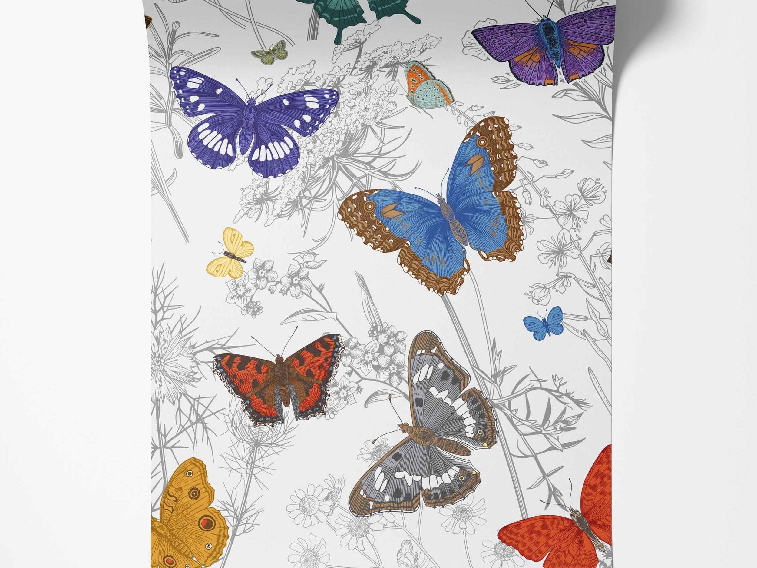Wallpaper featuring colorful illustrated butterflies among gray outlined flowers and plants on a white background.
