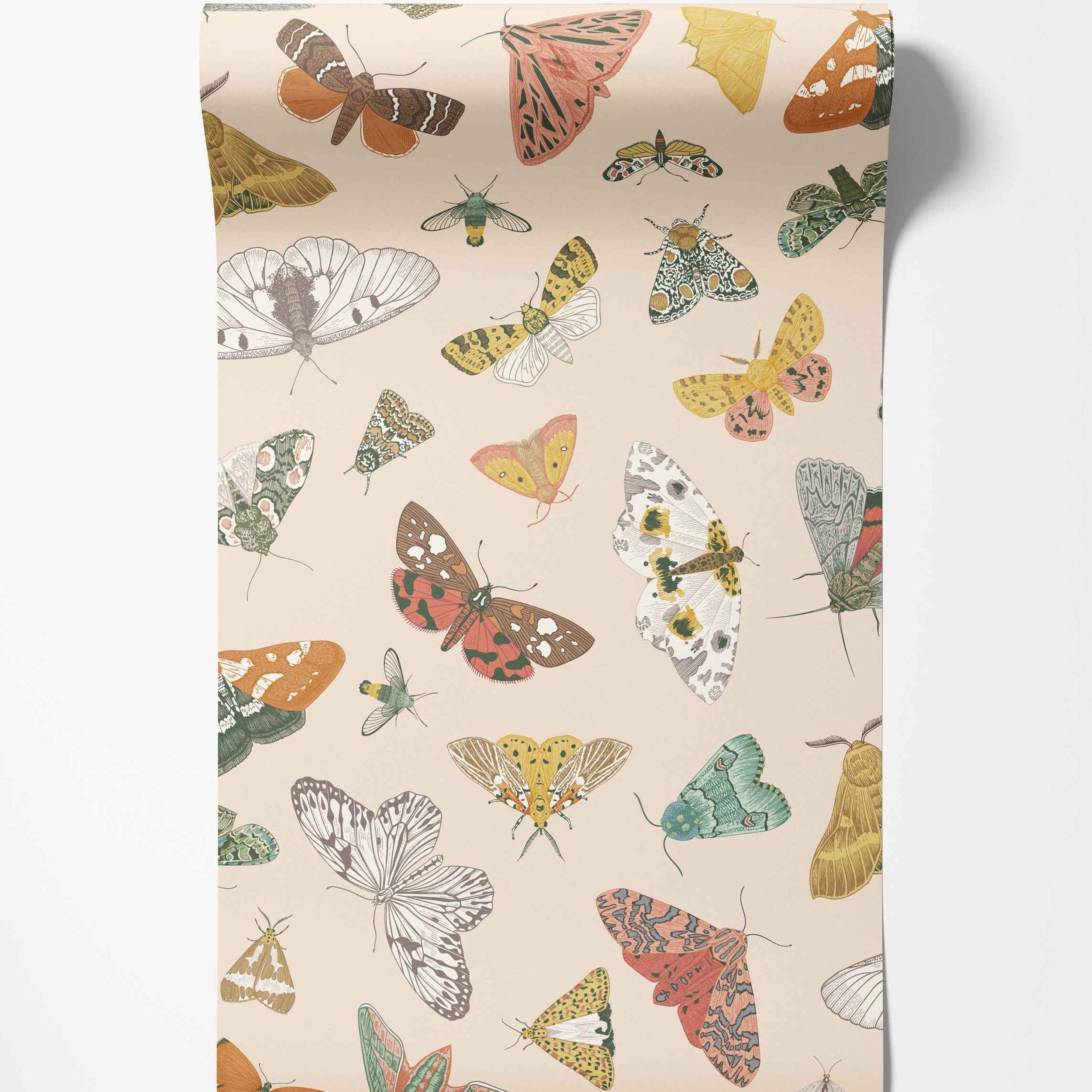 Illustrated moths in various colors on beige wallpaper.