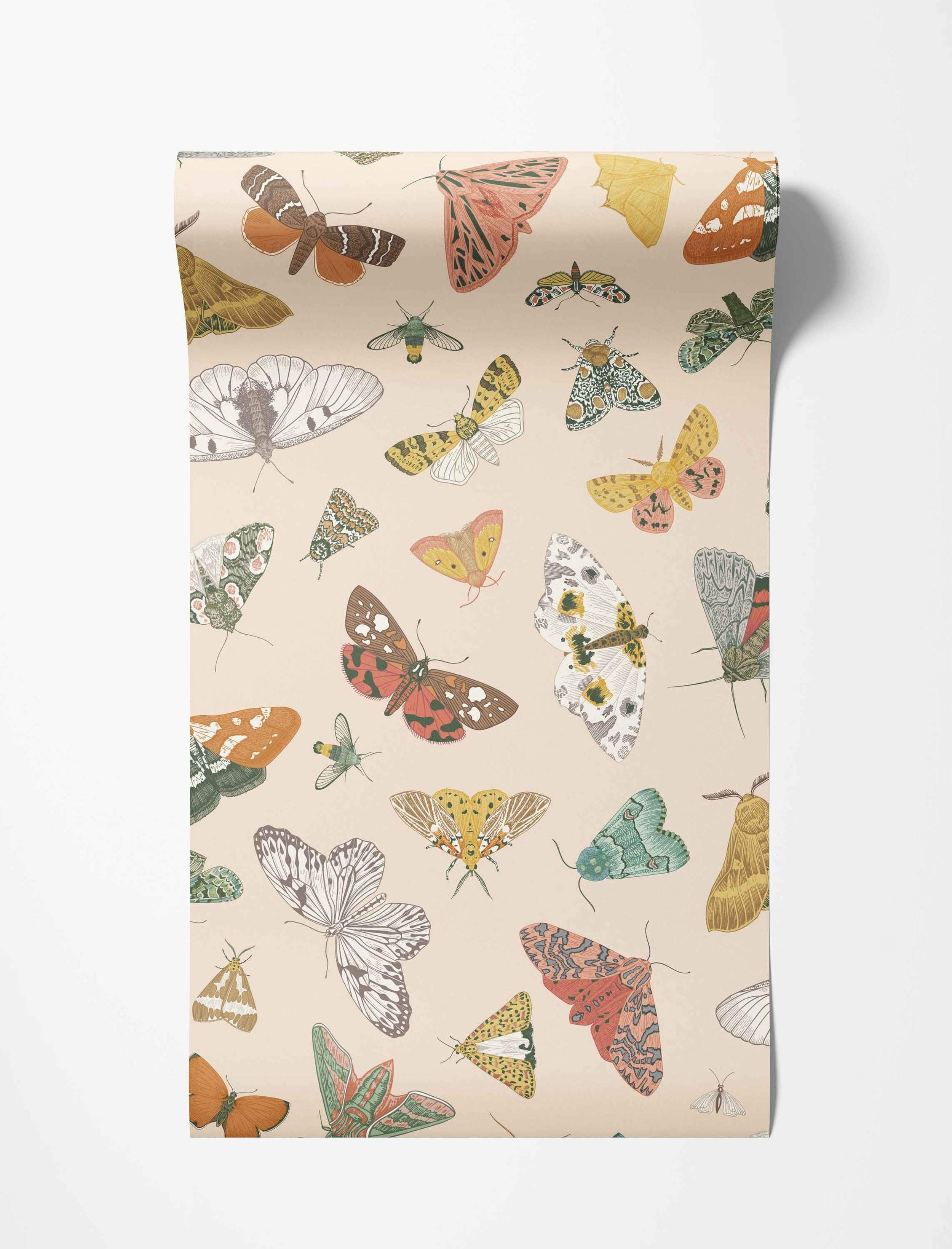 Illustrated moths in various colors on beige wallpaper.