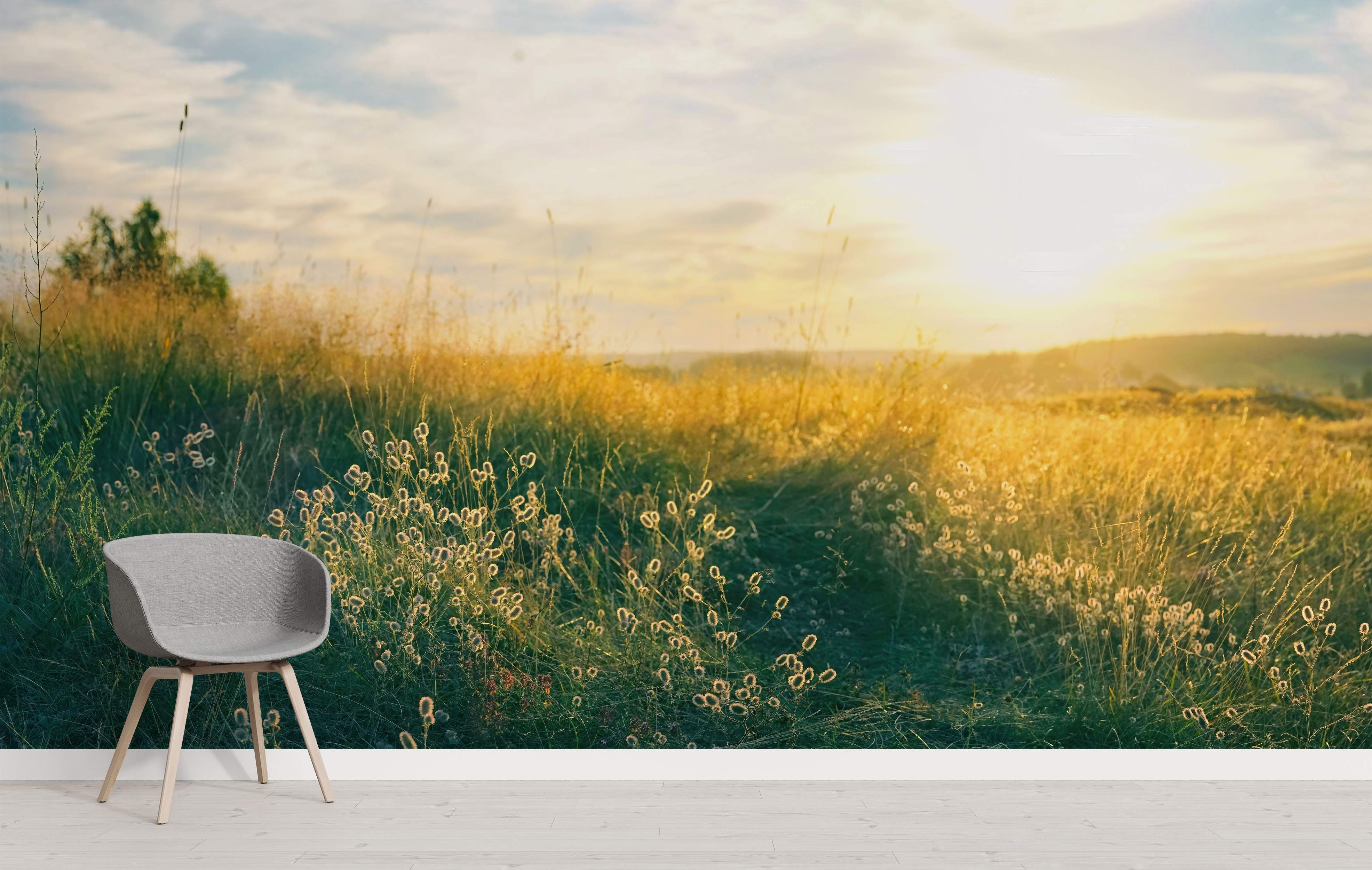 Wall mural depicting a sunlit grassy field at sunset, featuring golden grasses, green foreground foliage, and a soft sky.