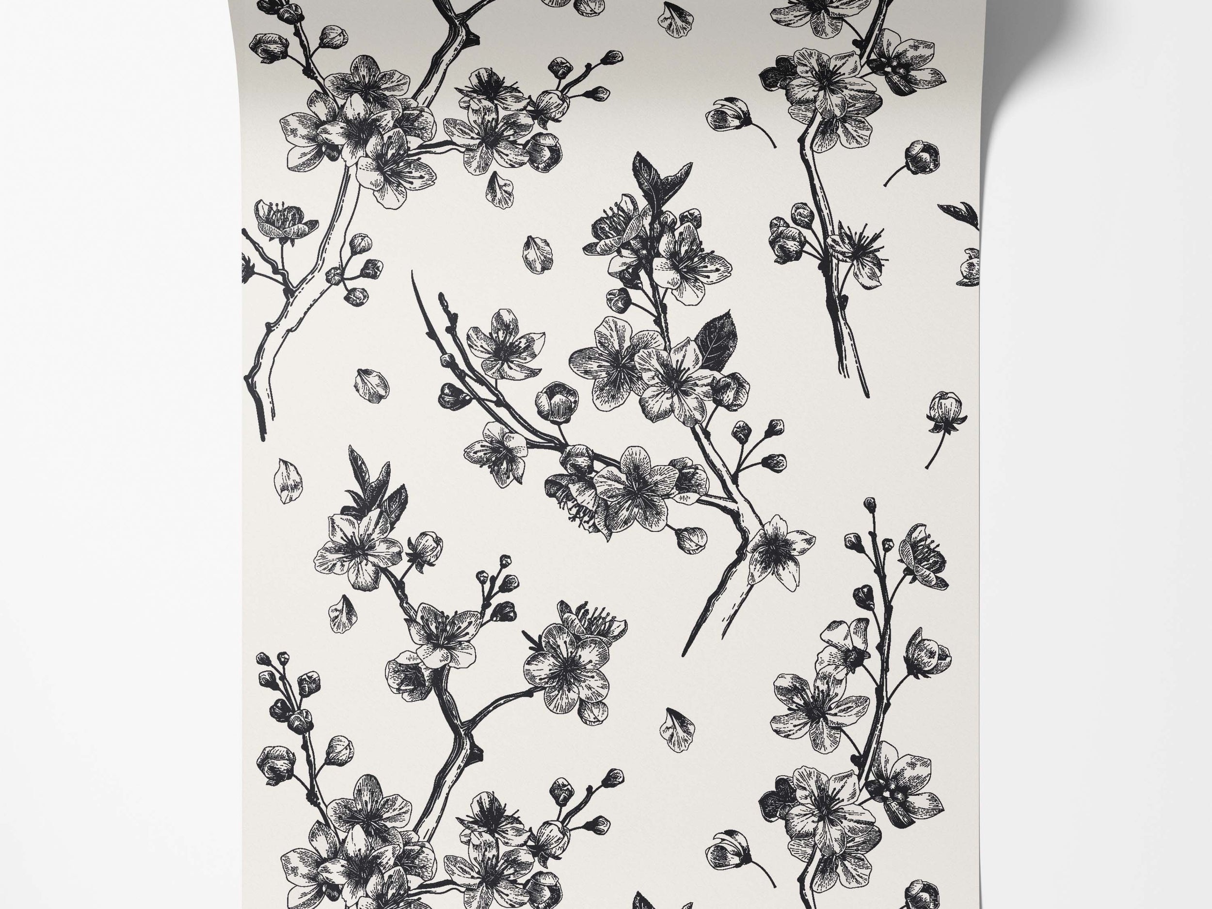 Black sketch-style cherry blossom branches and petals scattered across an off-white background wallpaper.