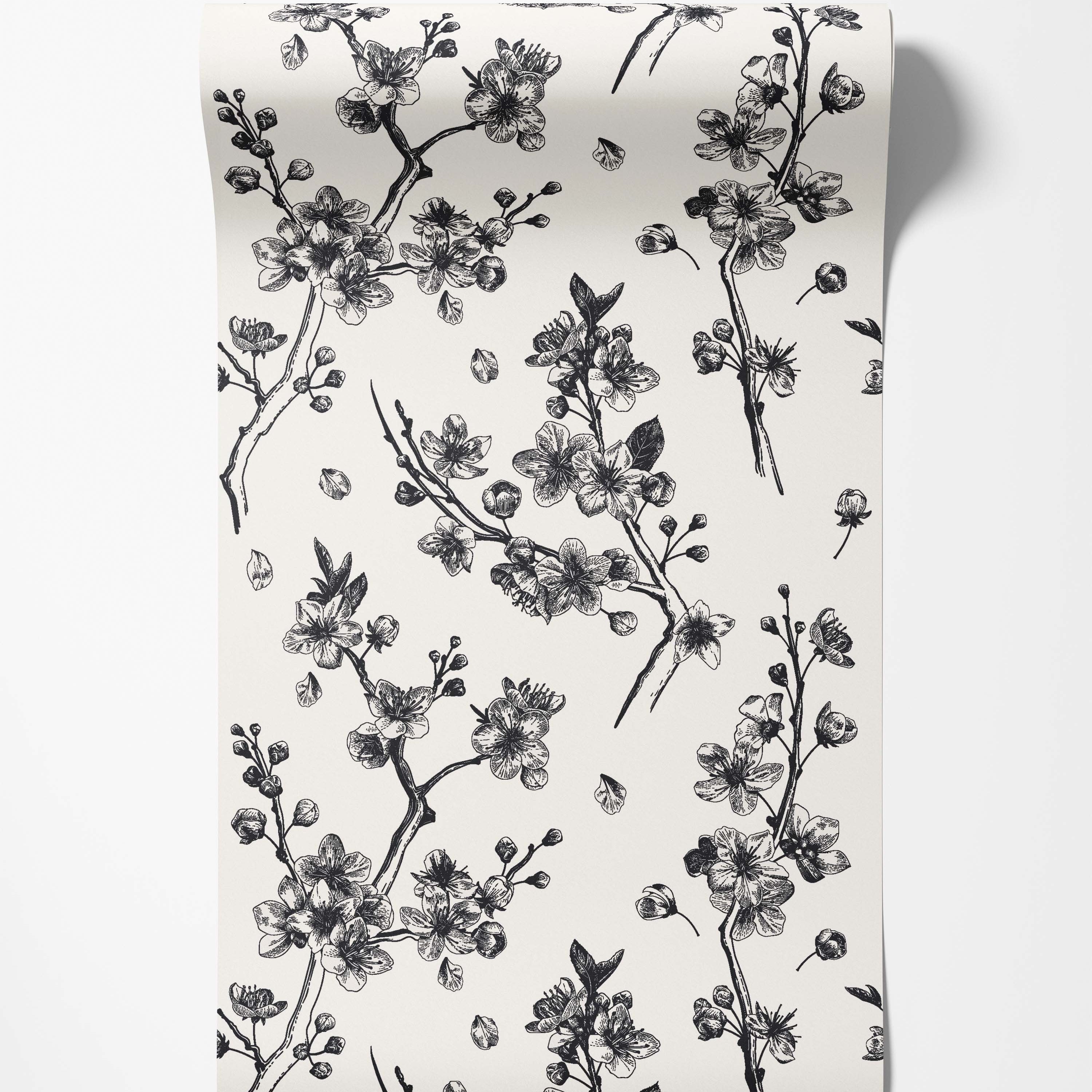 Black sketch-style cherry blossom branches and petals scattered across an off-white background wallpaper.