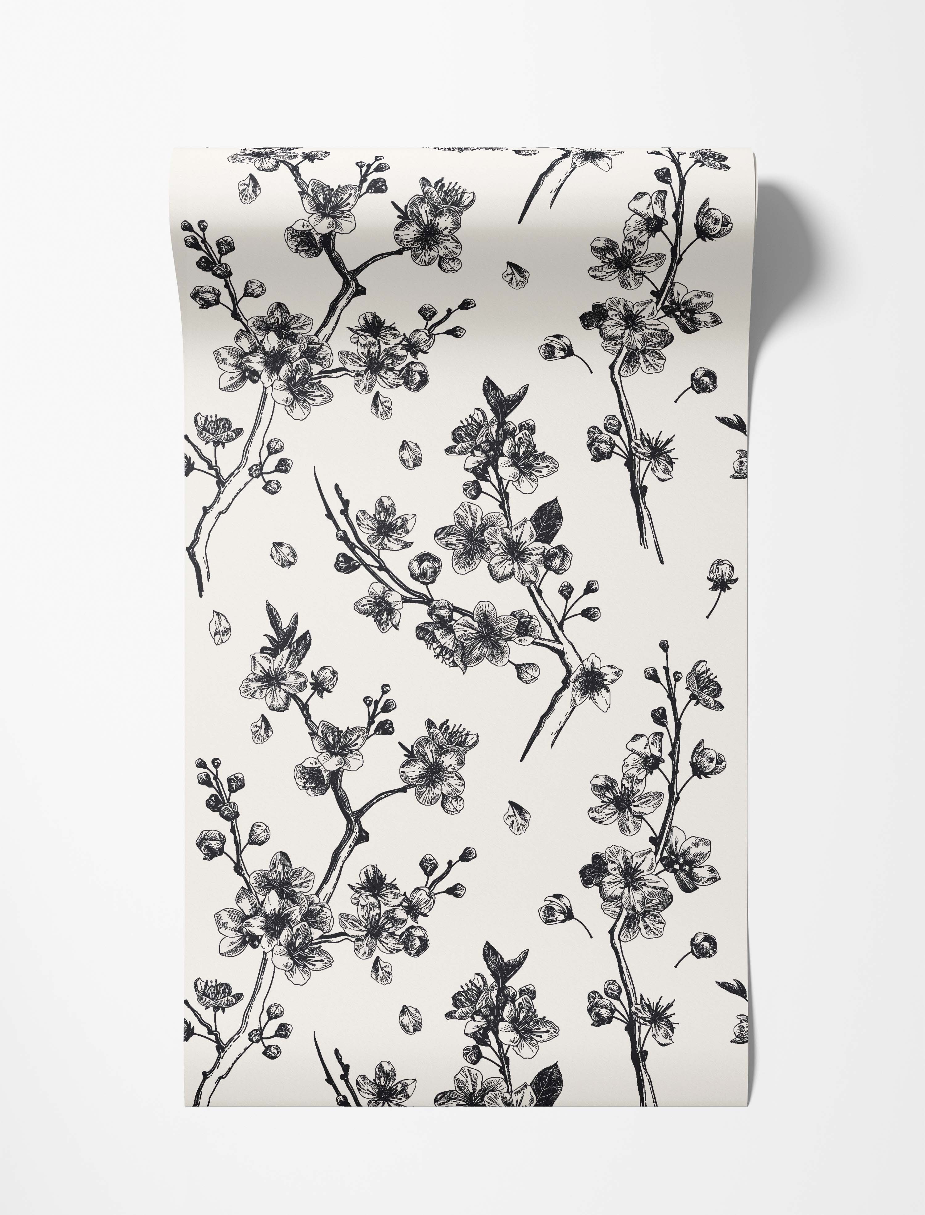 Black sketch-style cherry blossom branches and petals scattered across an off-white background wallpaper.