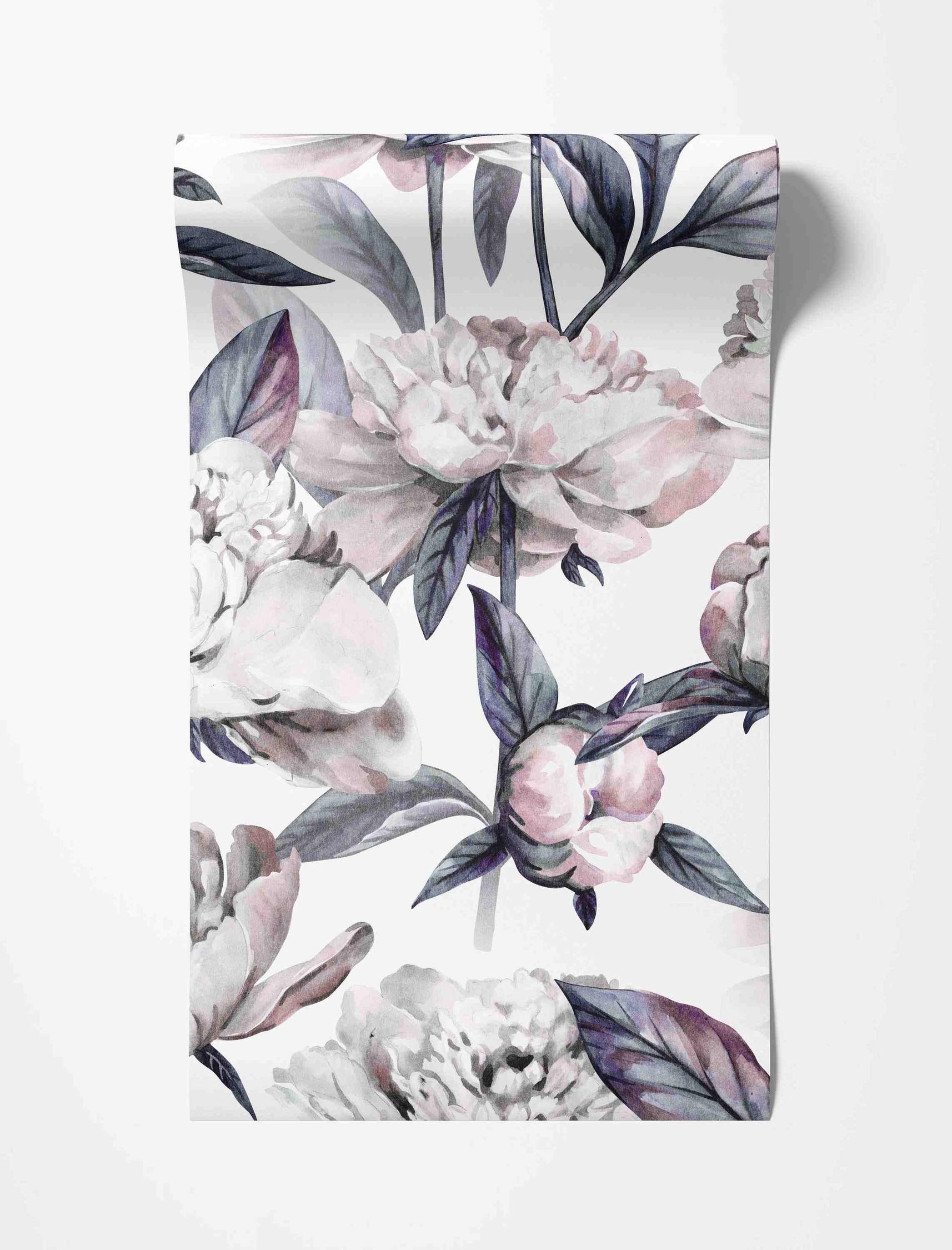 Watercolor wallpaper featuring large pink and white peonies with dark purple-gray leaves on a white background.