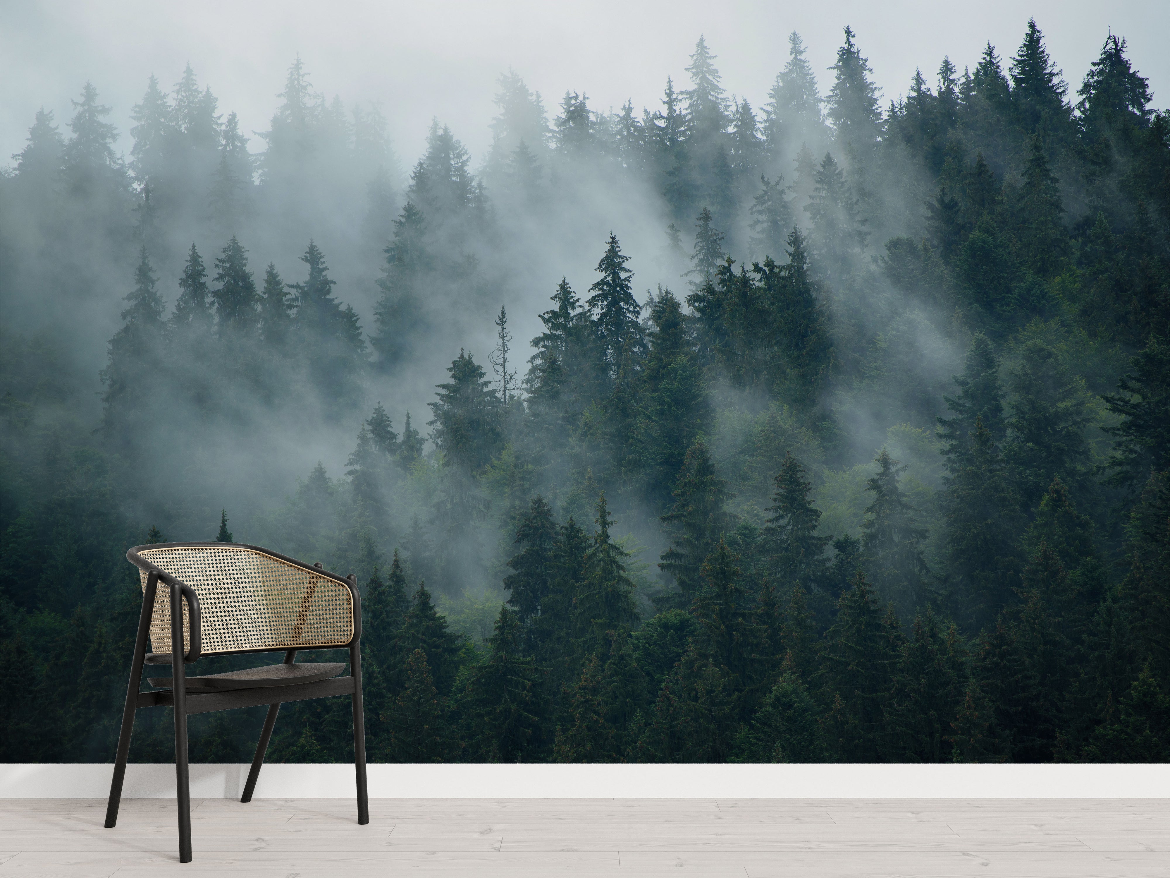 Photographic mural featuring a dark green evergreen forest landscape partially obscured by thick, white and gray fog.