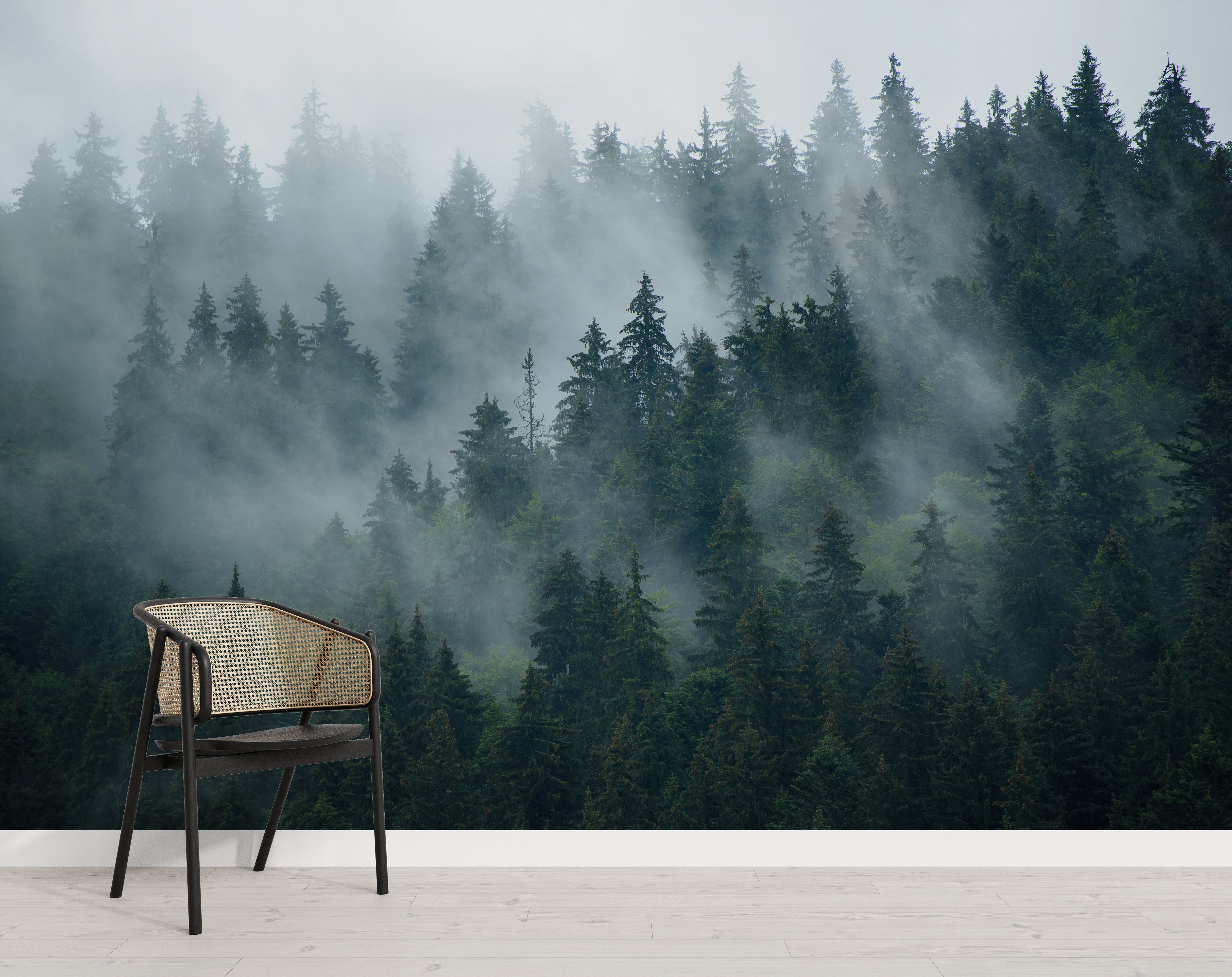 Photographic mural featuring a dark green evergreen forest landscape partially obscured by thick, white and gray fog.
