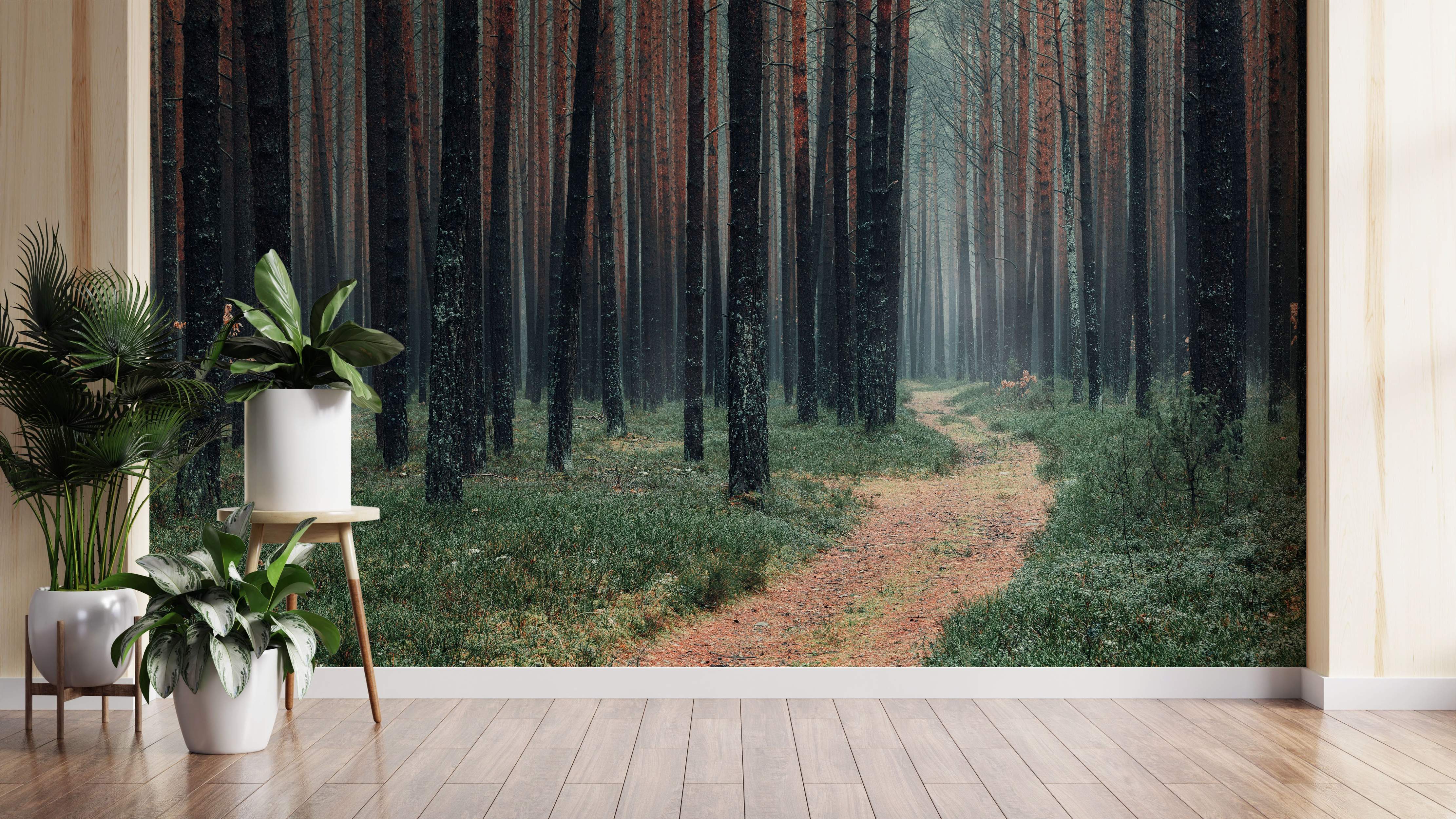 Misty forest path mural with tall, dark tree trunks, green ground cover, and a winding reddish-brown trail leading into the woods.