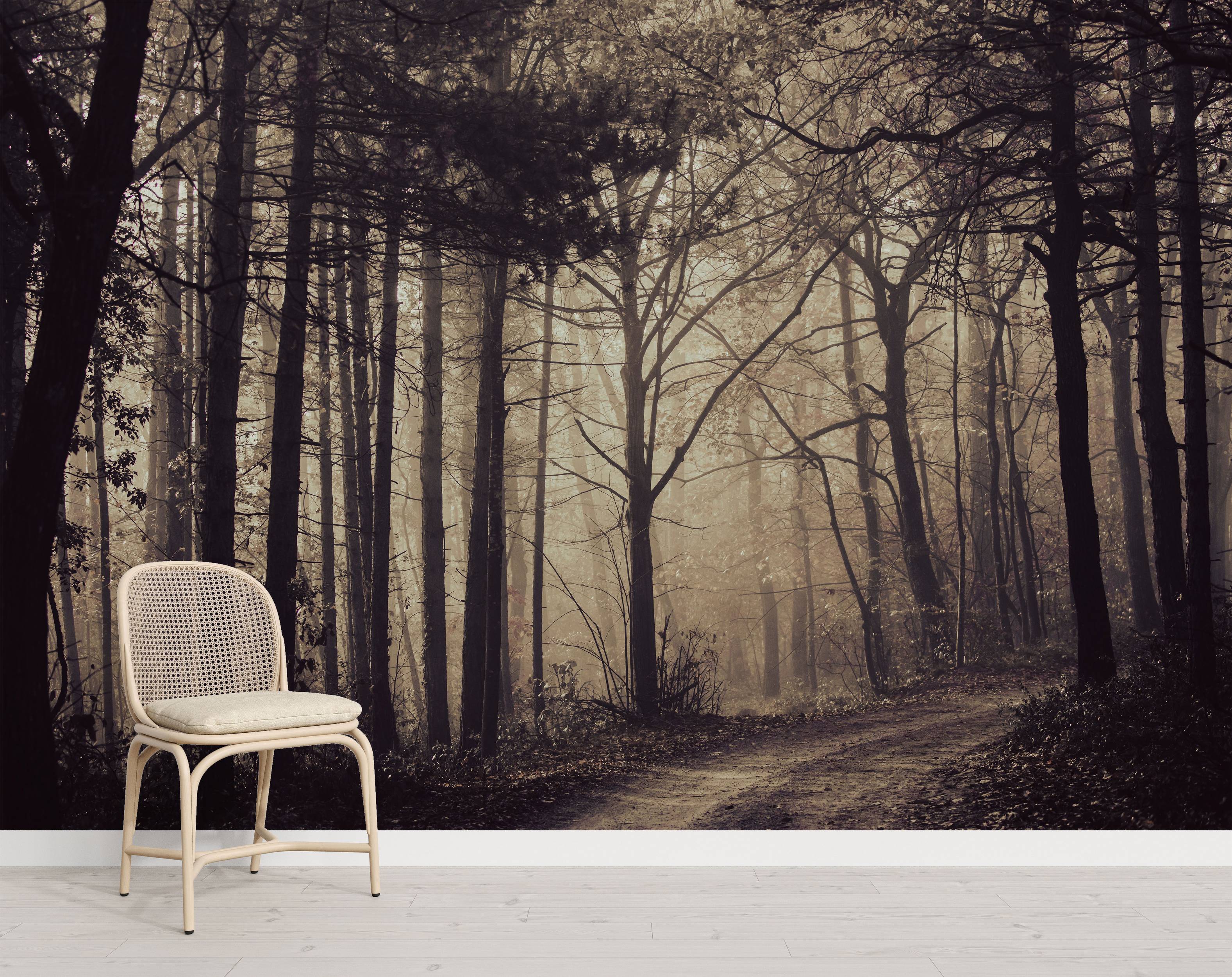 A photographic wall mural of a winding path through a misty, sepia-toned forest with tall, dark trees.