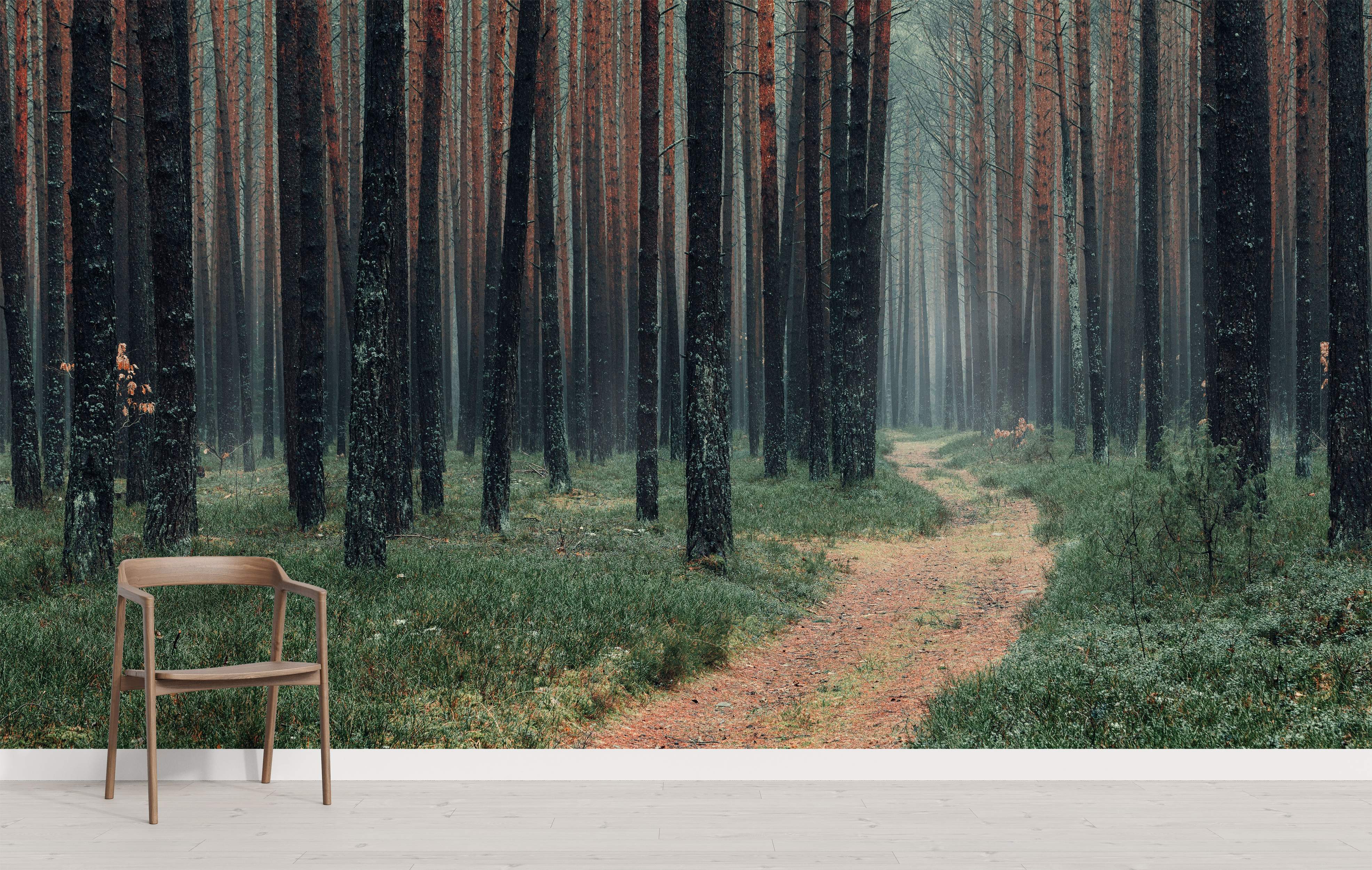 Misty forest scene mural featuring tall, dark pine trees, green undergrowth, and a winding brown dirt path.