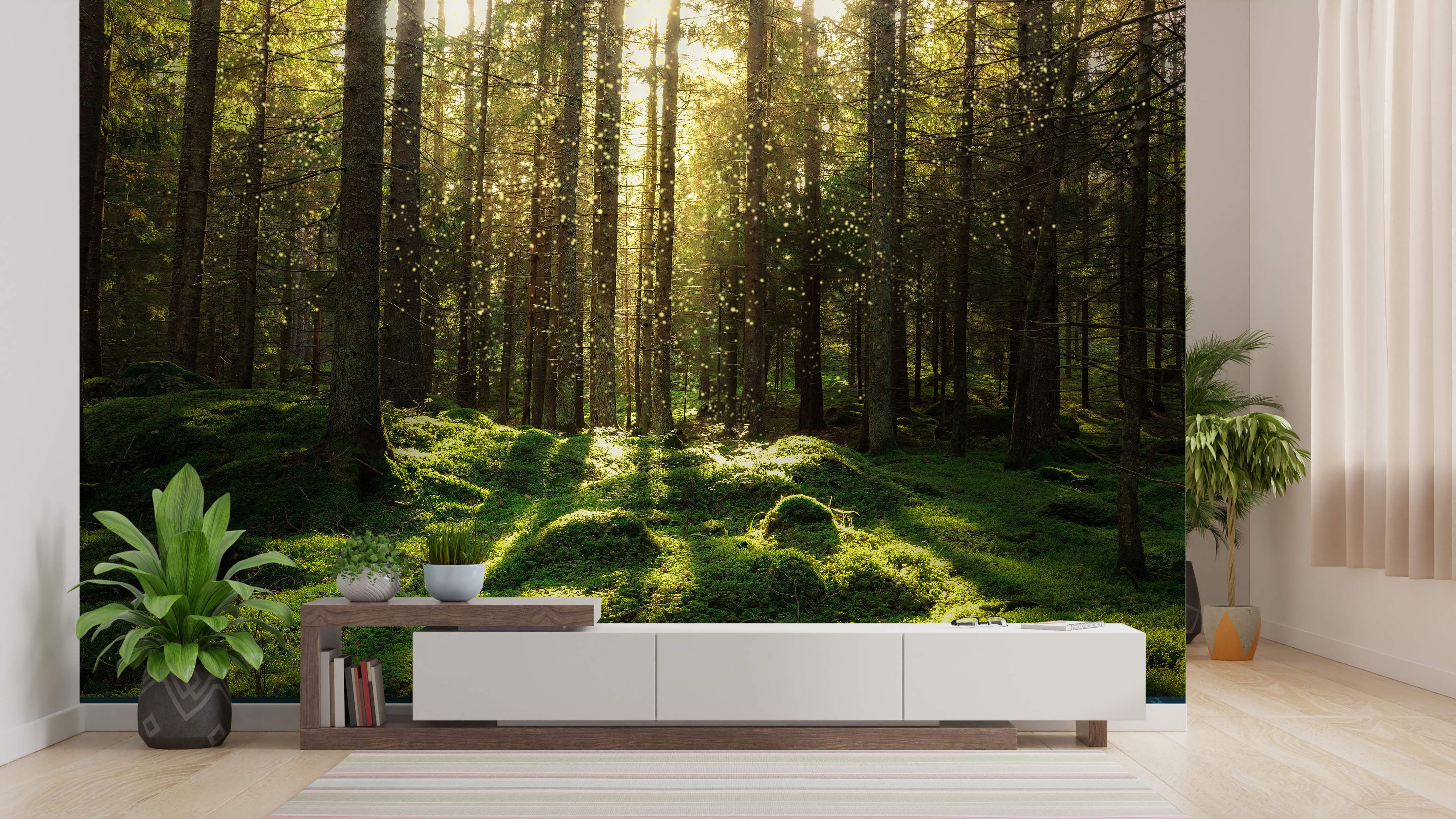 Sunlit forest scene with green moss and tall trees mural