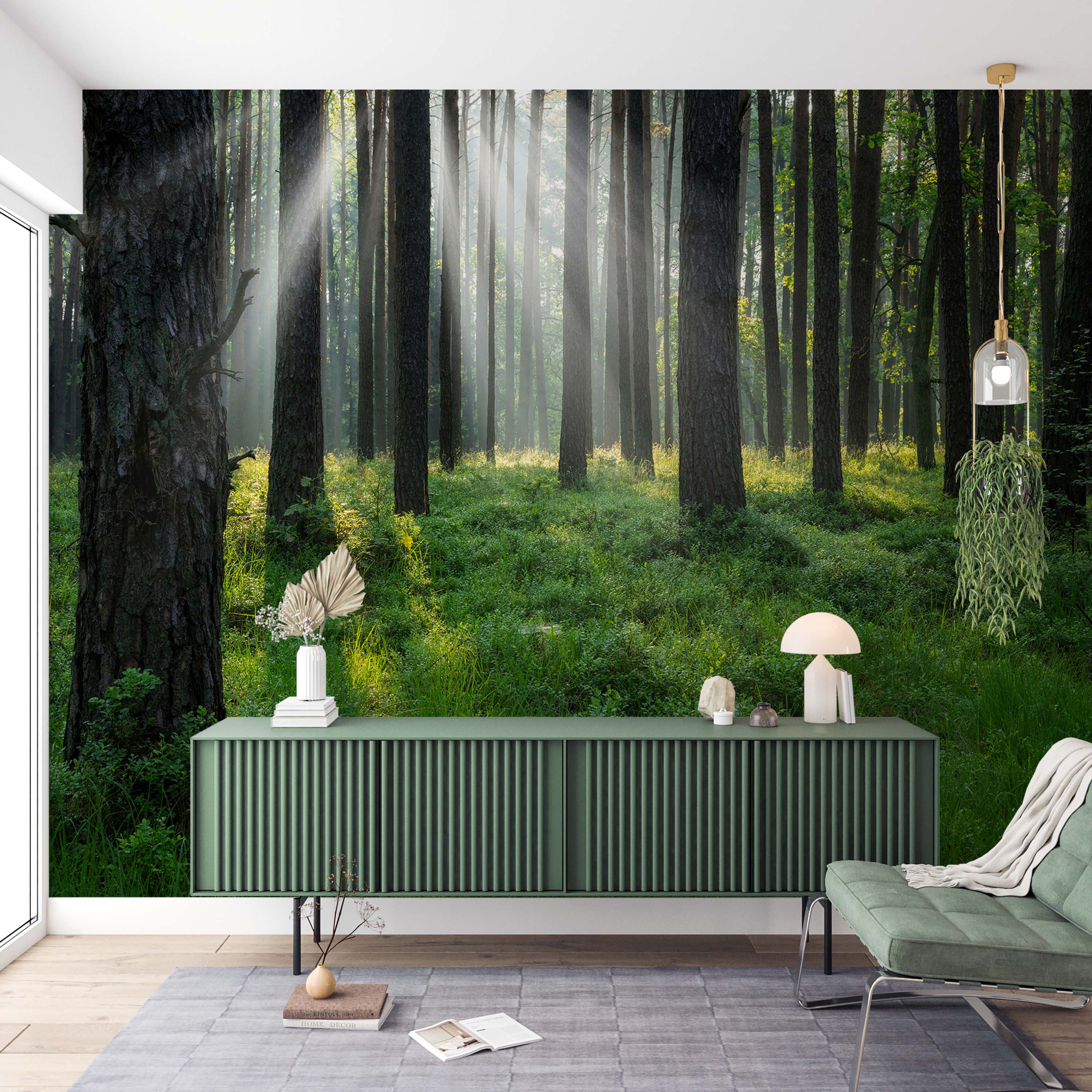 A photorealistic wall mural of a dense forest with sunbeams filtering through tall trees onto a lush, green forest floor.