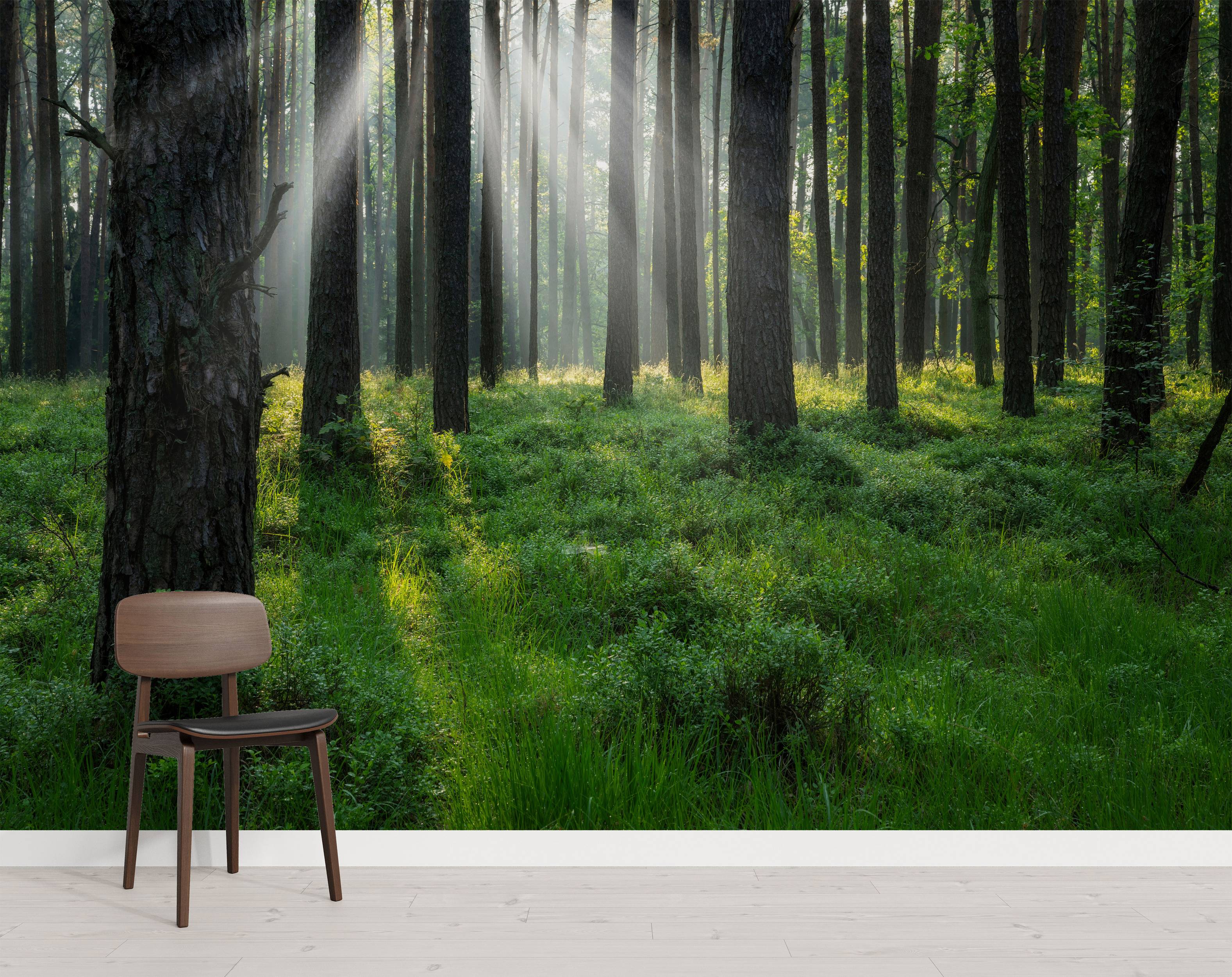 A photorealistic mural of a sun-drenched forest with tall trees, lush green foliage, and bright sunbeams shining through.