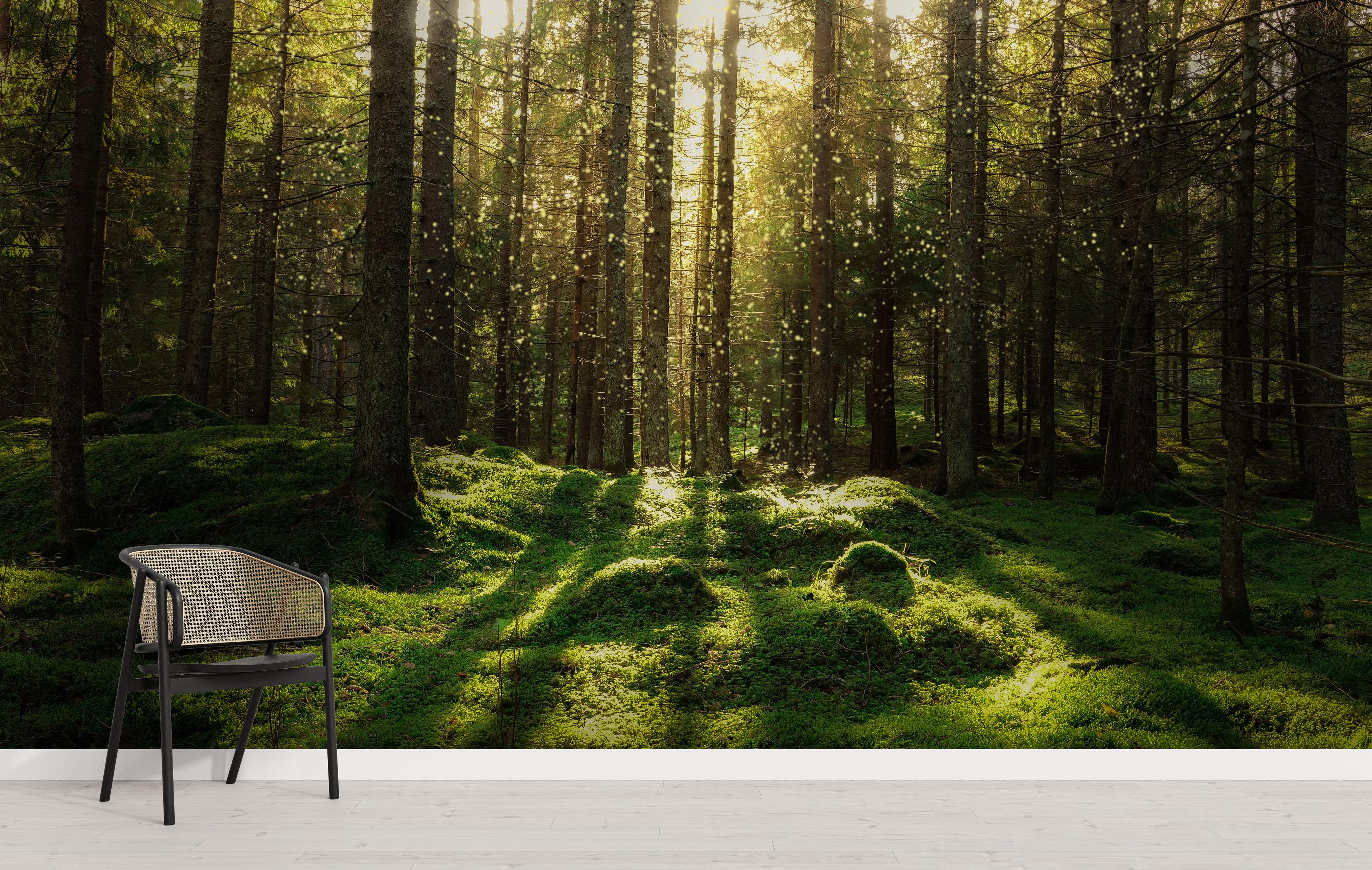 Sunlit forest with mossy ground and dappled light mural