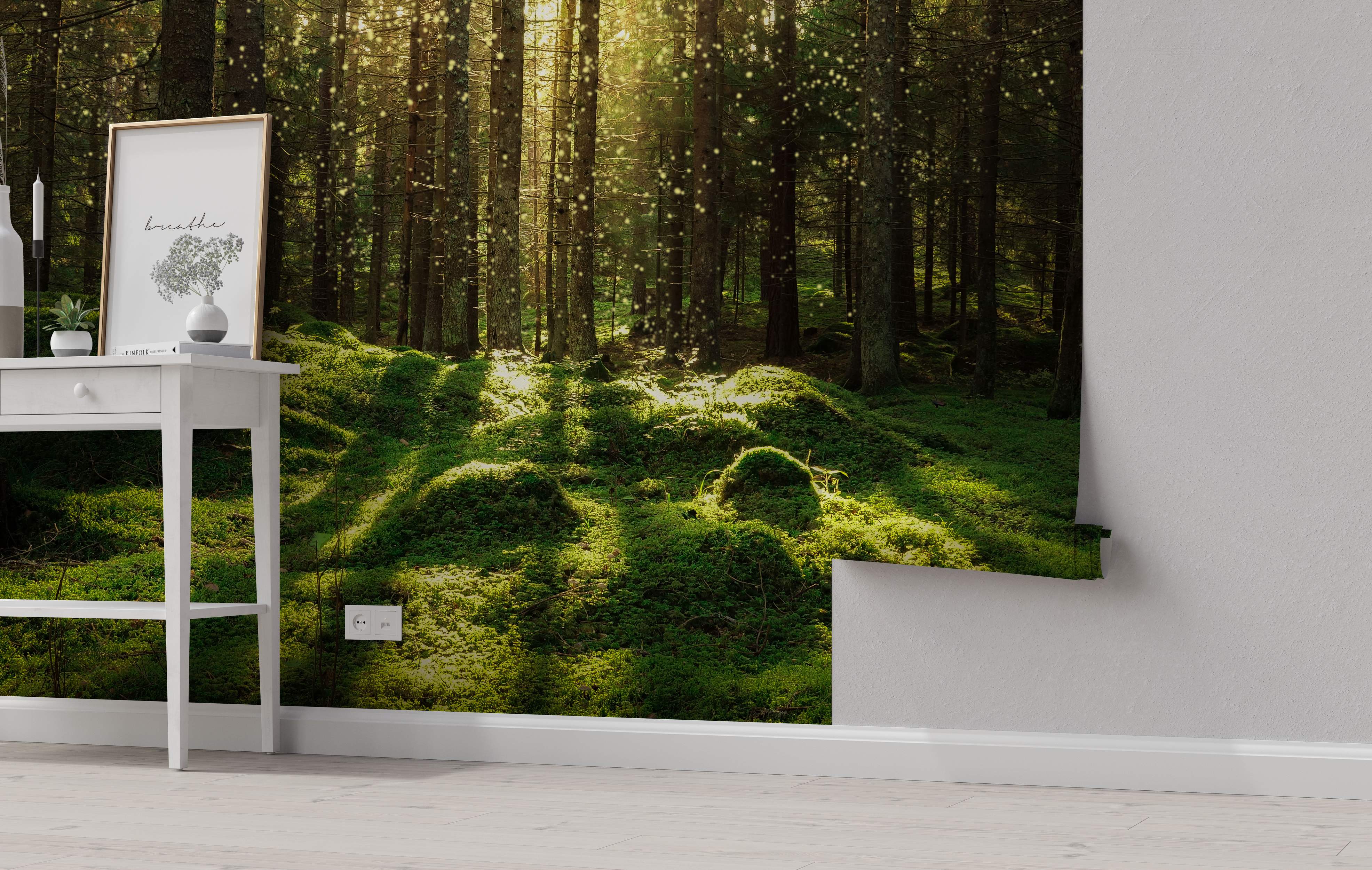 Forest scene with sunlight filtering through trees and green moss.