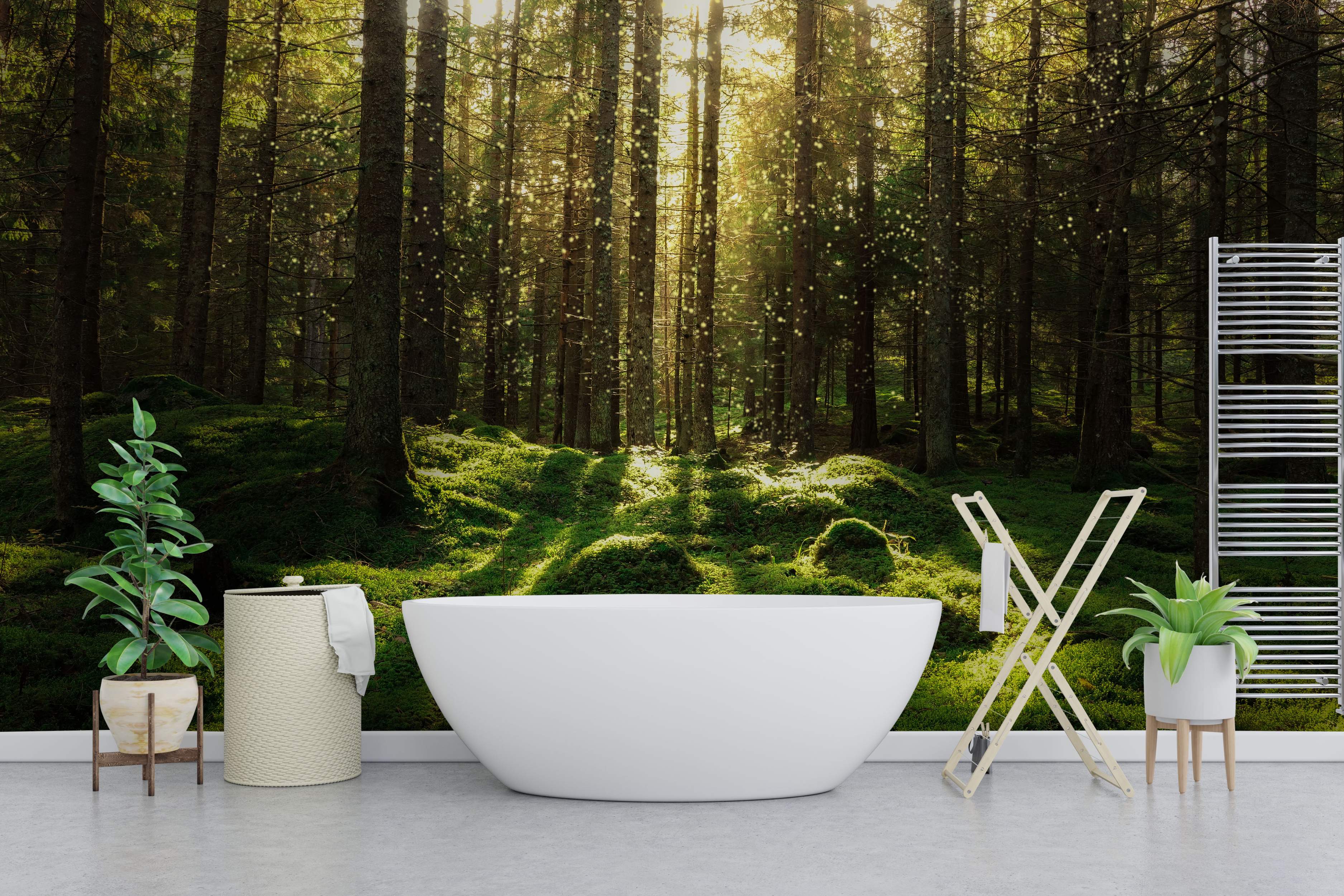 Forest scene mural with sunlight filtering through tall trees