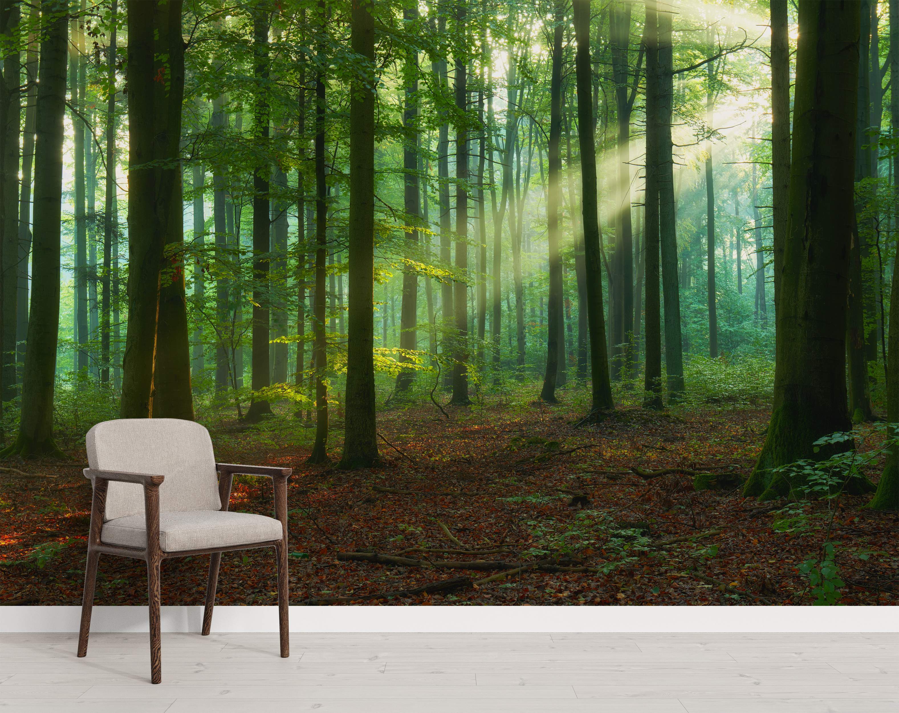 Forest mural with sunlight filtering through tall green trees