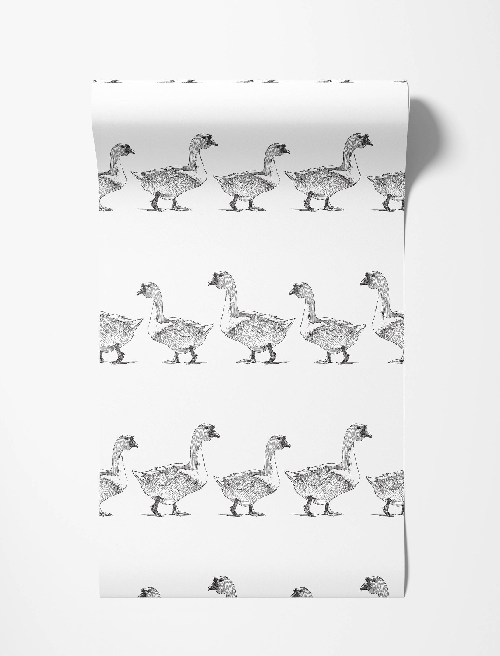 A wallpaper with a repeating pattern of sketched geese in black ink on a white background, arranged in rows.
