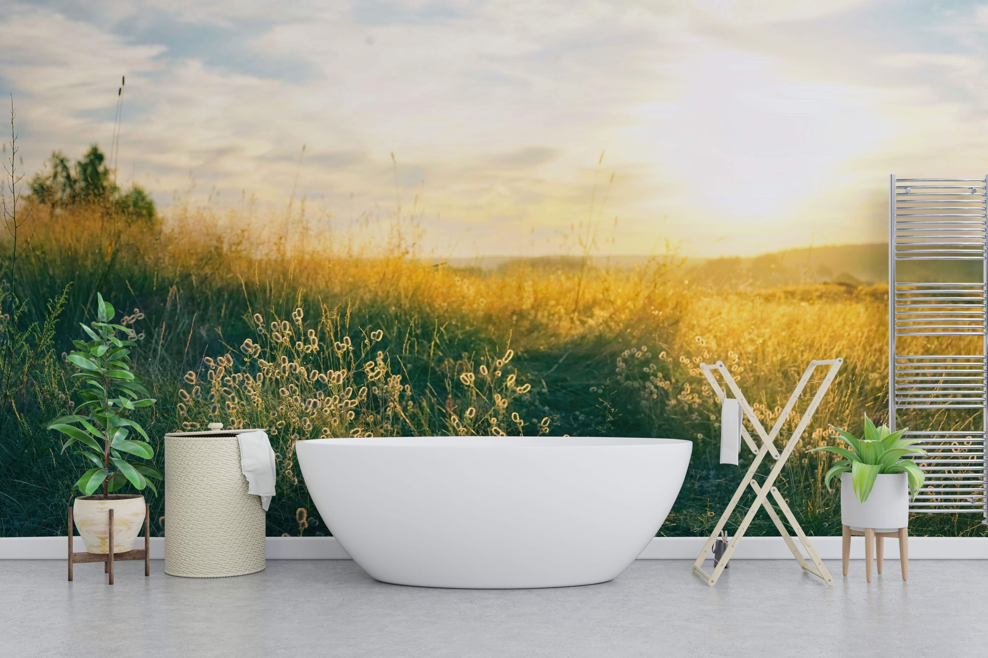 Photographic mural depicting a grassy field bathed in golden sunset light under a soft cloudy sky.