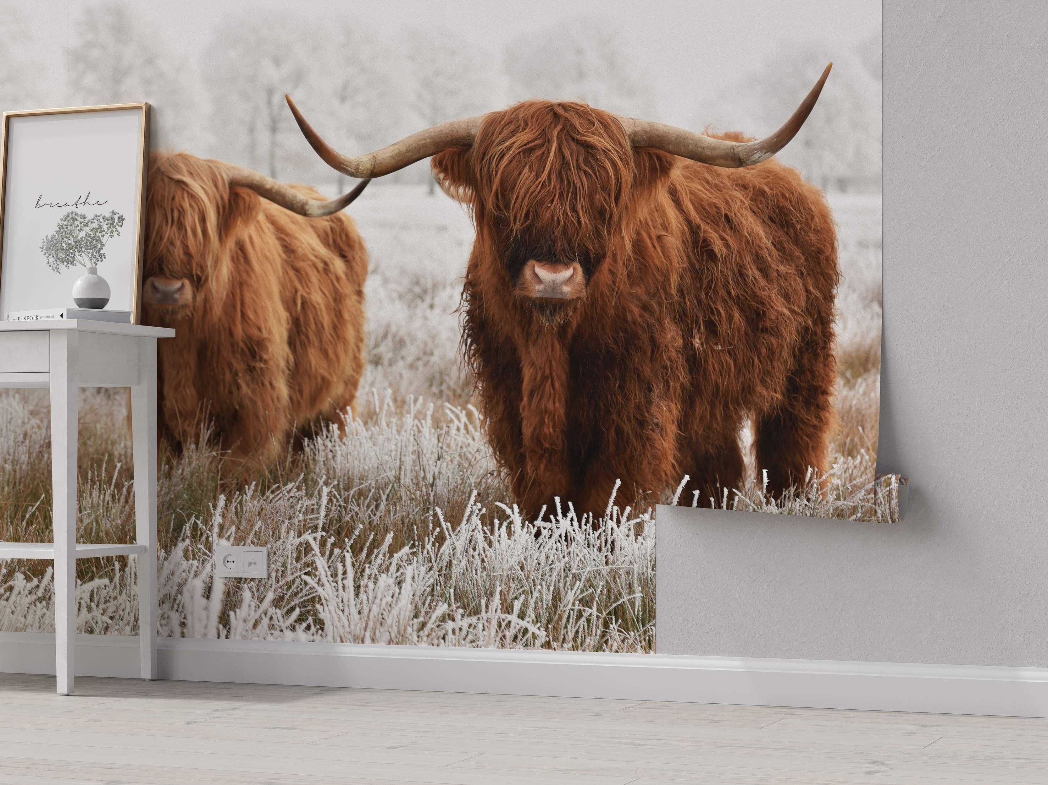 Mural depicting two brown Highland cows with long horns standing in a frosty, white field during winter.