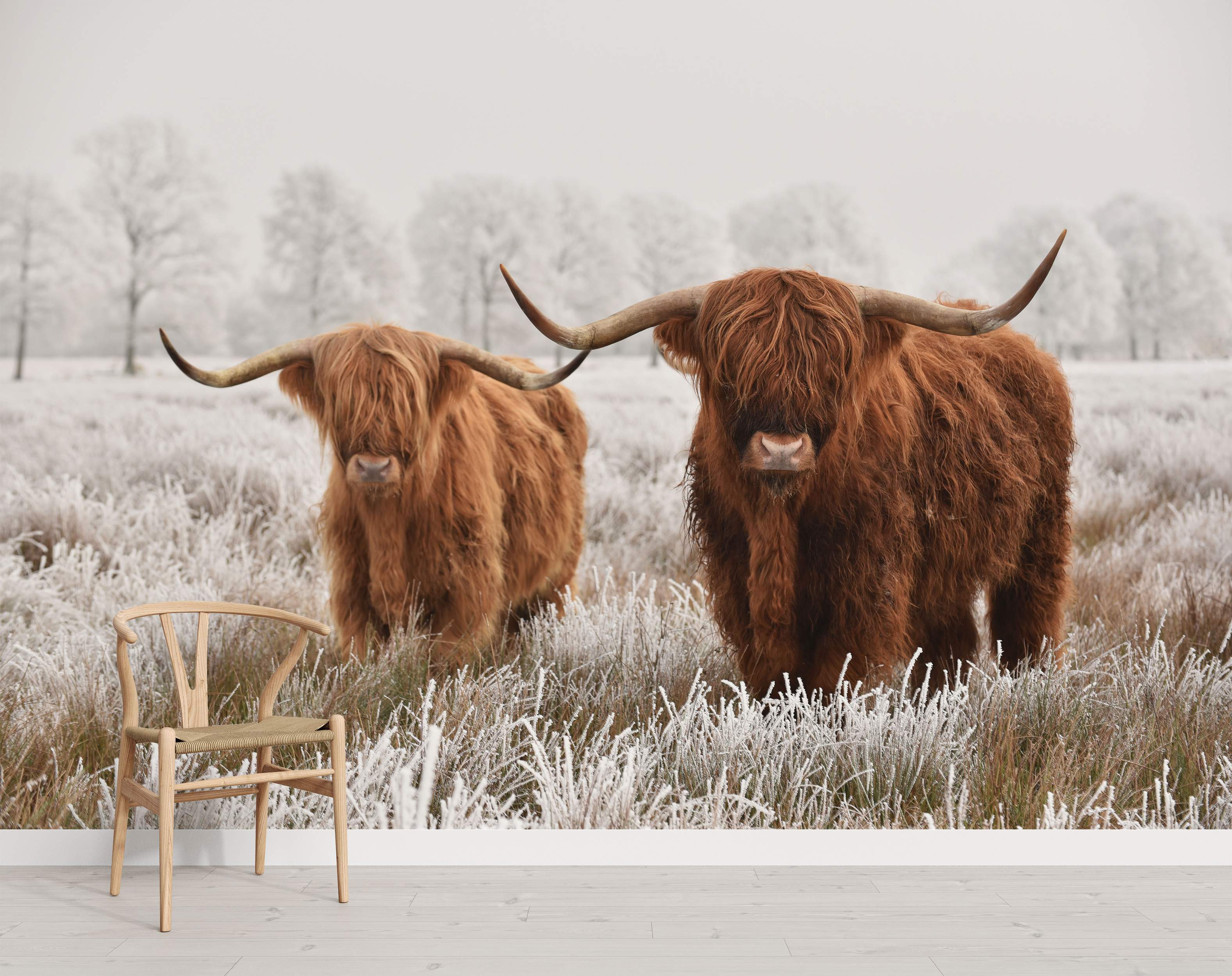 Photorealistic mural depicting two brown Highland cows with large horns standing in a white, frost-covered field.