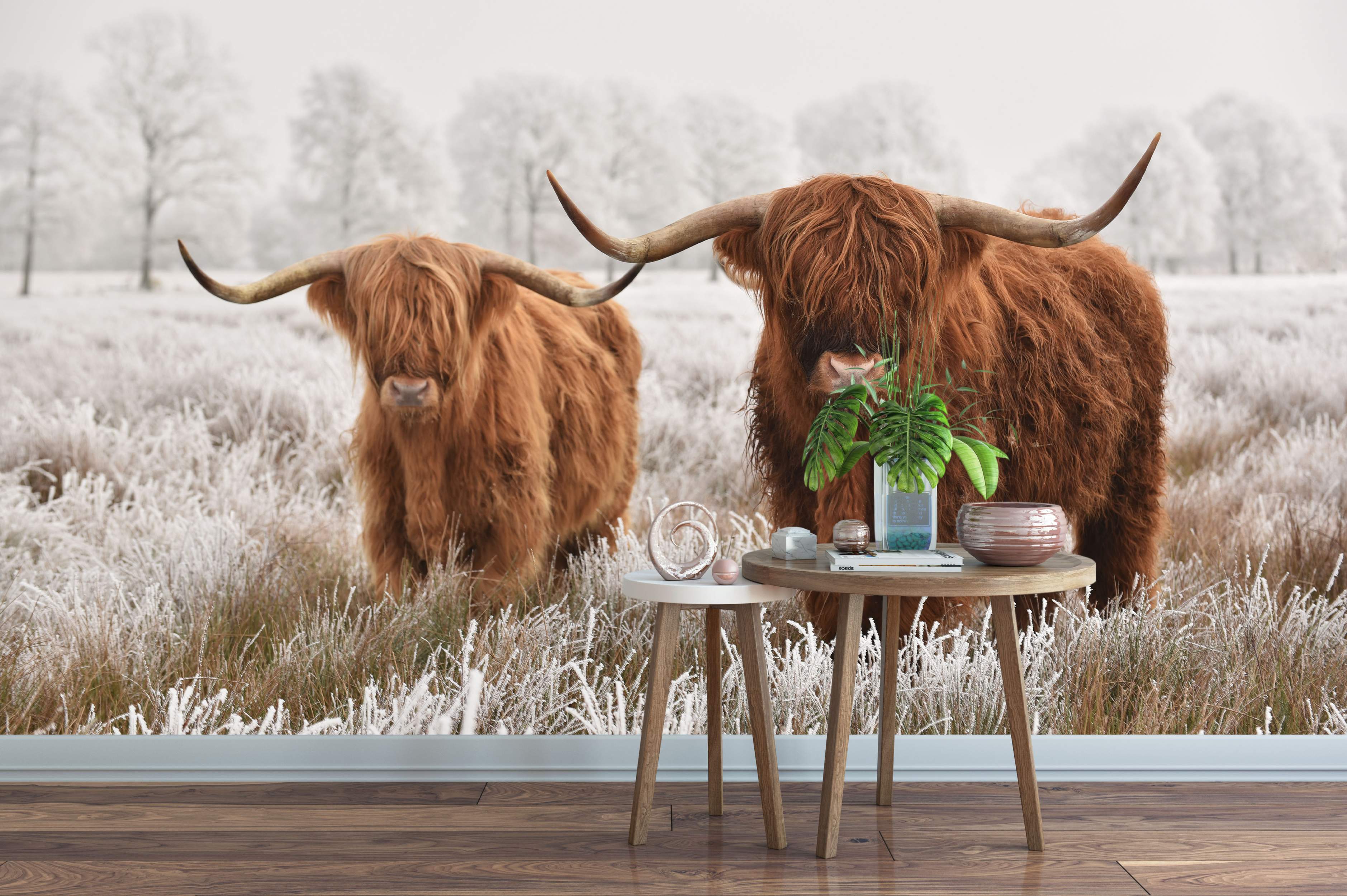 Mural depicting two shaggy brown Highland cows standing in a frosty white field with snow-covered trees in the distance.
