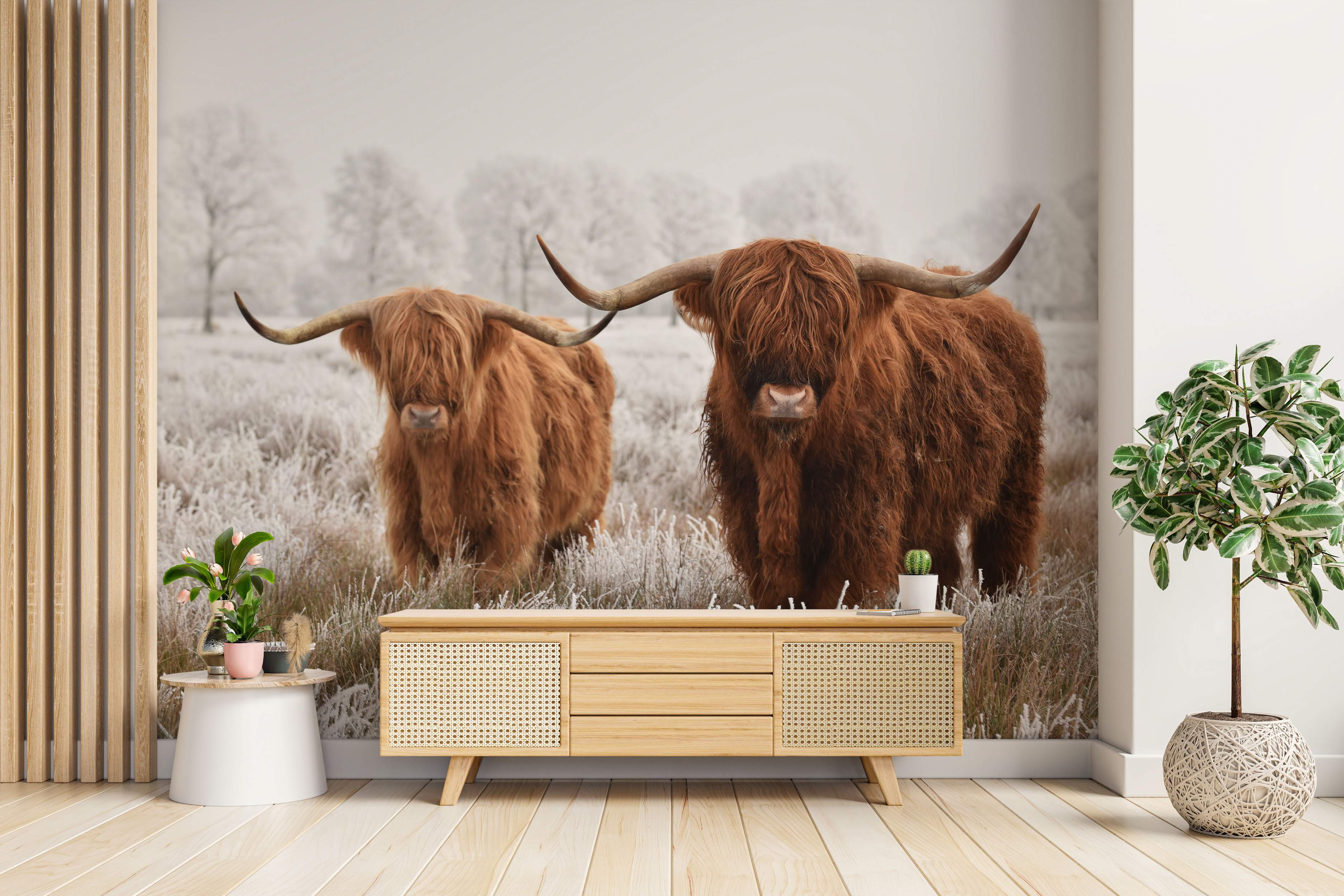 Mural depicting two brown Highland cows standing in a frosty field with white frosted trees in the background.