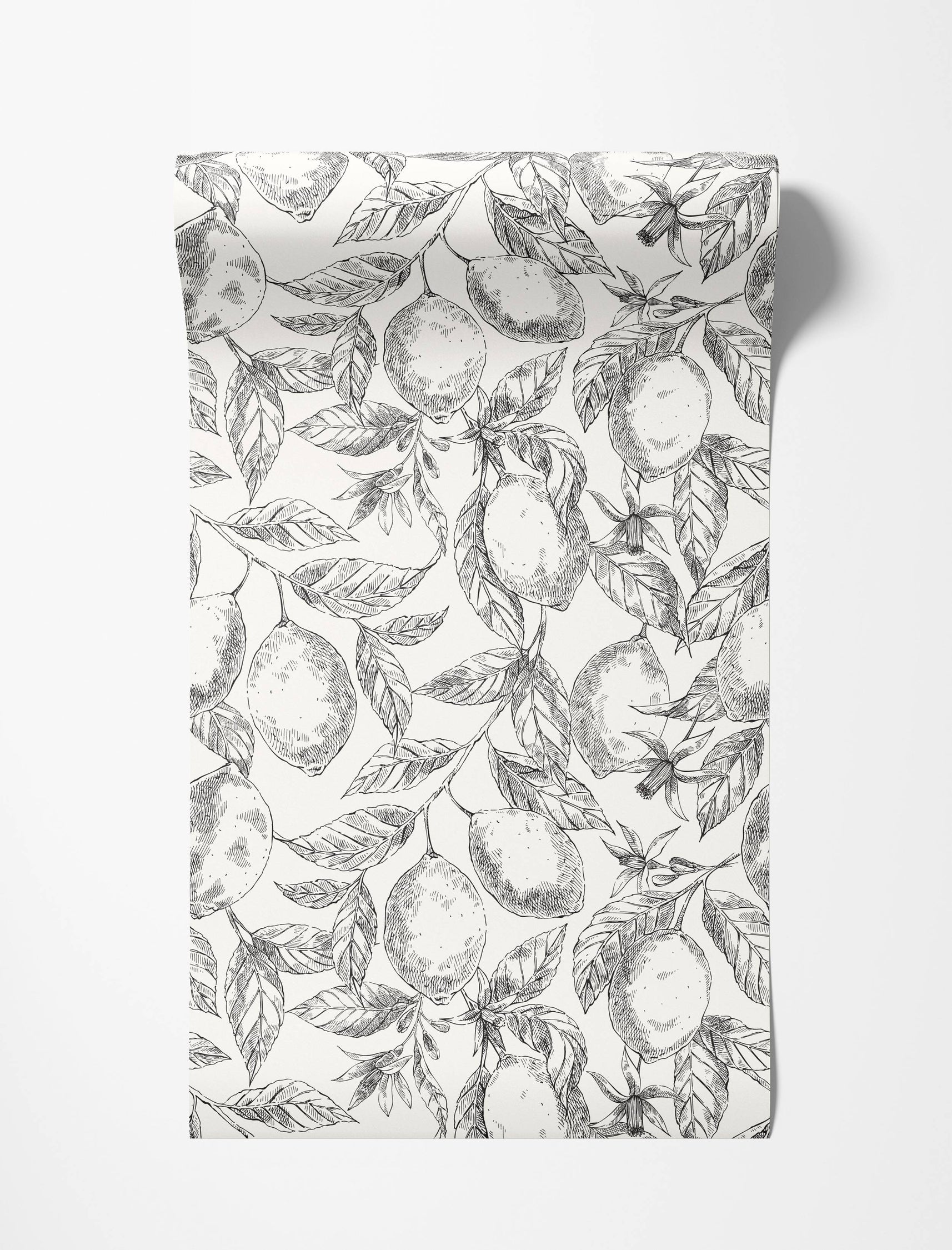 Wallpaper with a repeating black and white sketch pattern of lemons, branches, and leaves.