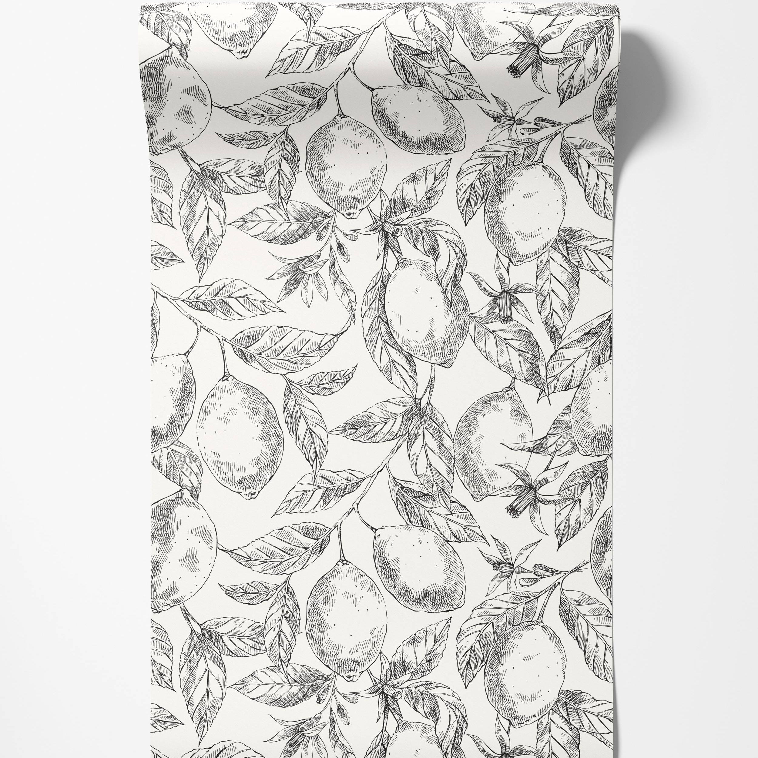 Wallpaper with a repeating black and white sketch pattern of lemons, branches, and leaves.