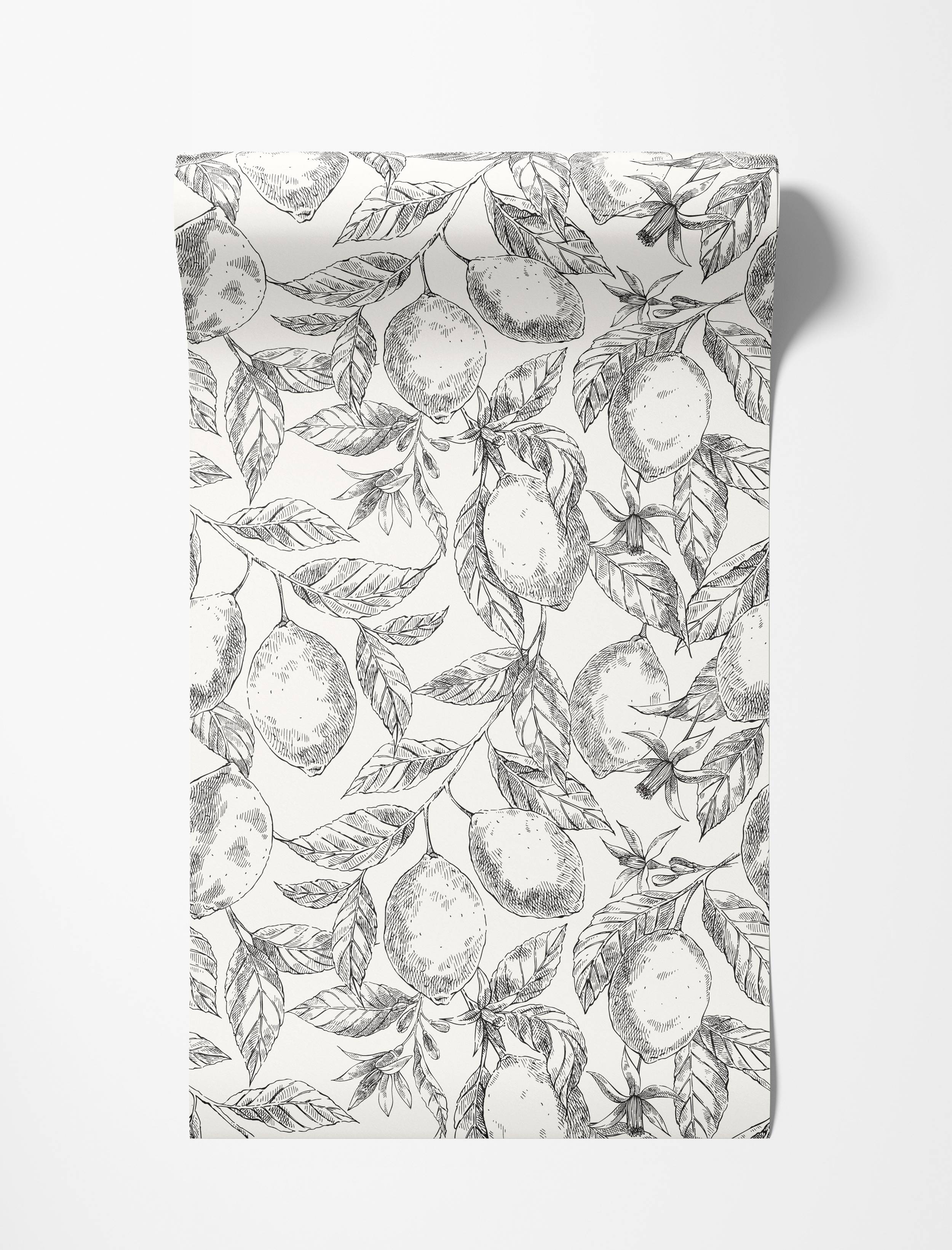 Wallpaper with a repeating black and white sketch pattern of lemons, branches, and leaves.