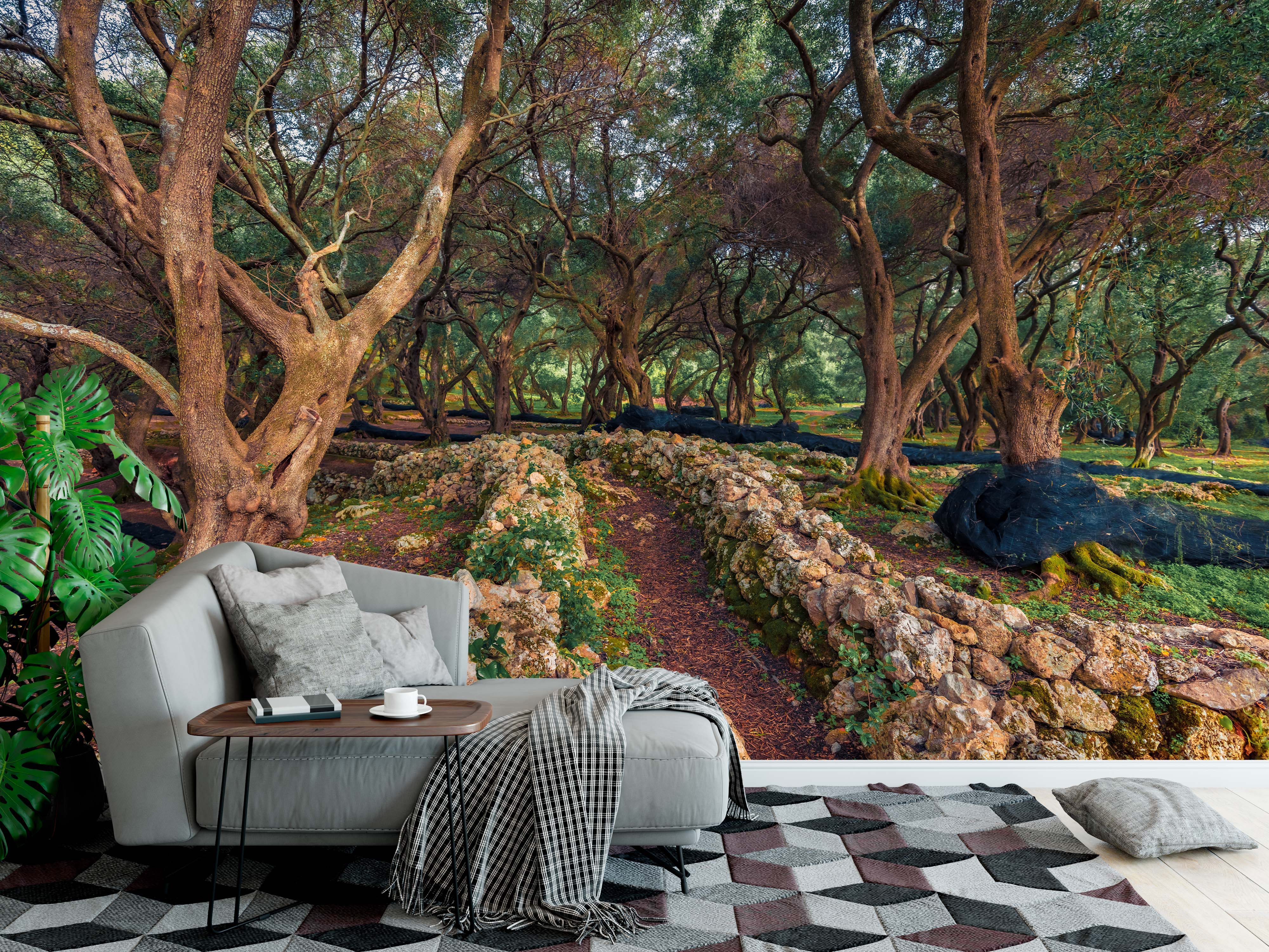 A scenic wall mural of an ancient olive grove with gnarled trees, a winding stone wall, and a dirt path.
