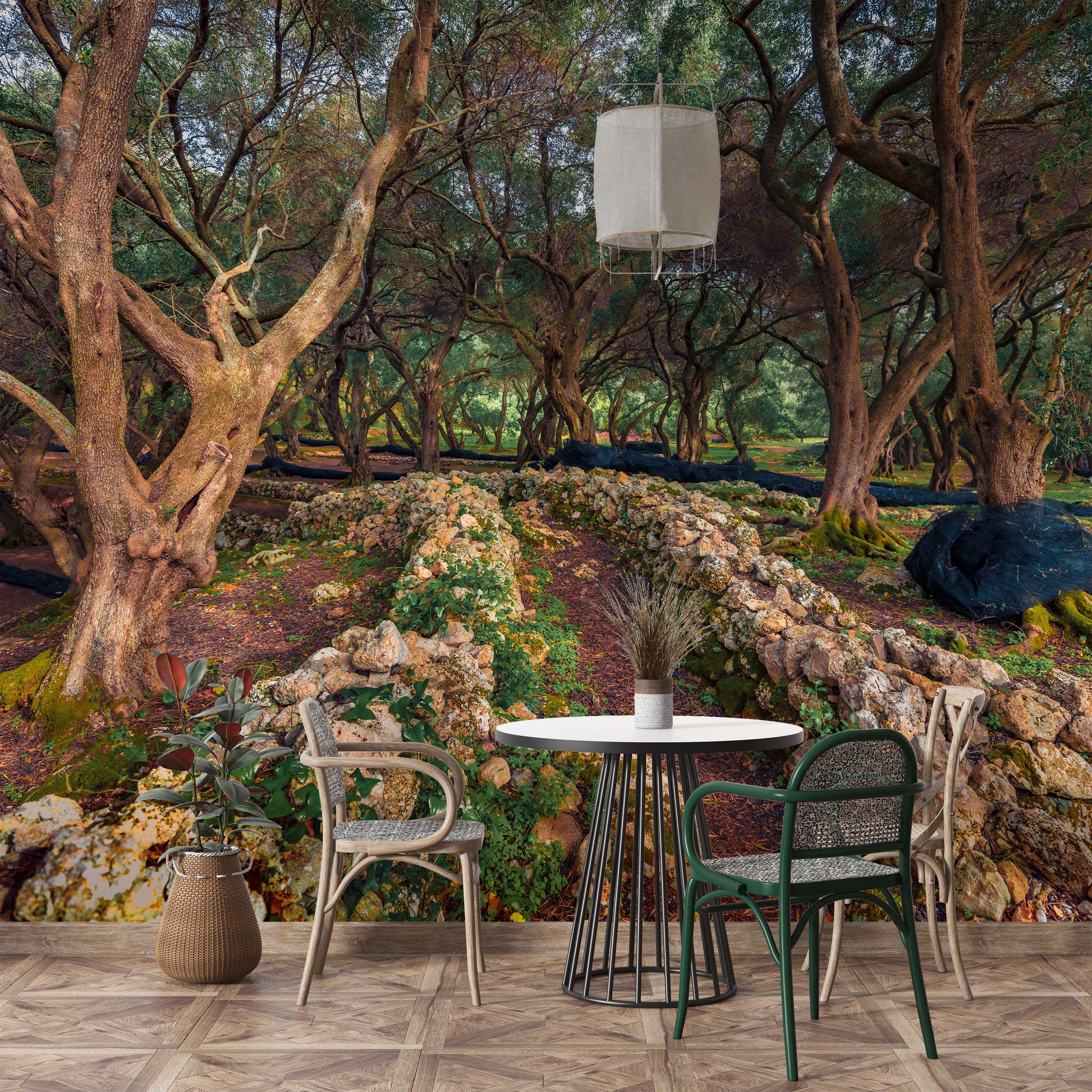 A photorealistic mural of an ancient olive grove with gnarled brown tree trunks, green foliage, and low stone walls.