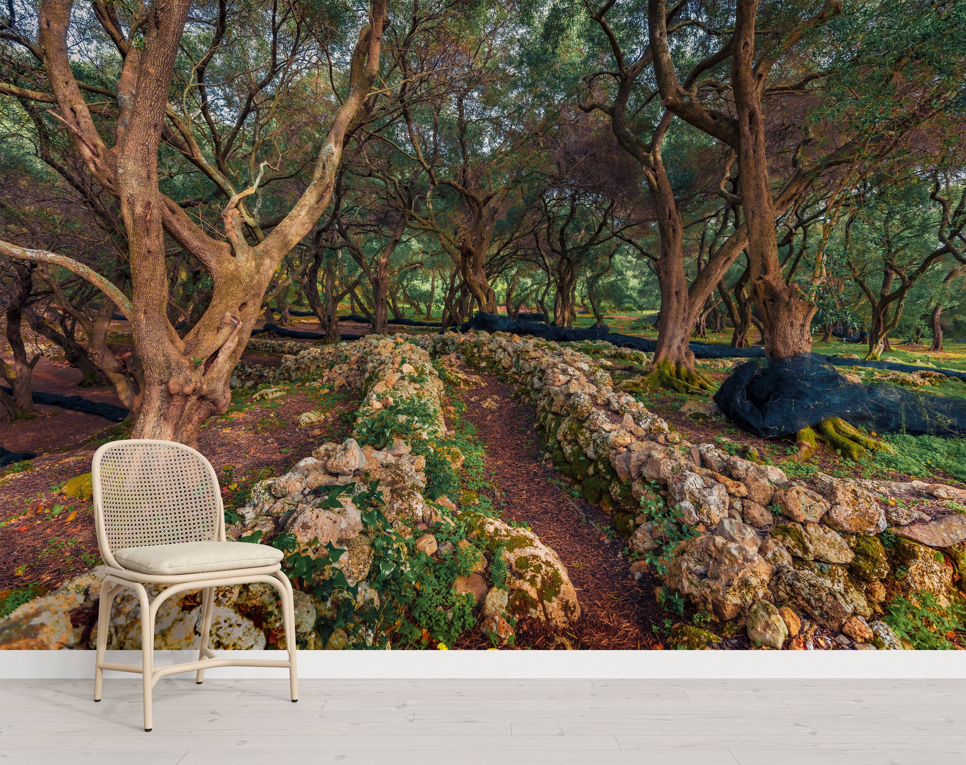 A scenic wall mural of an ancient olive grove featuring a winding stone wall, gnarled trees, and a path through the woods.