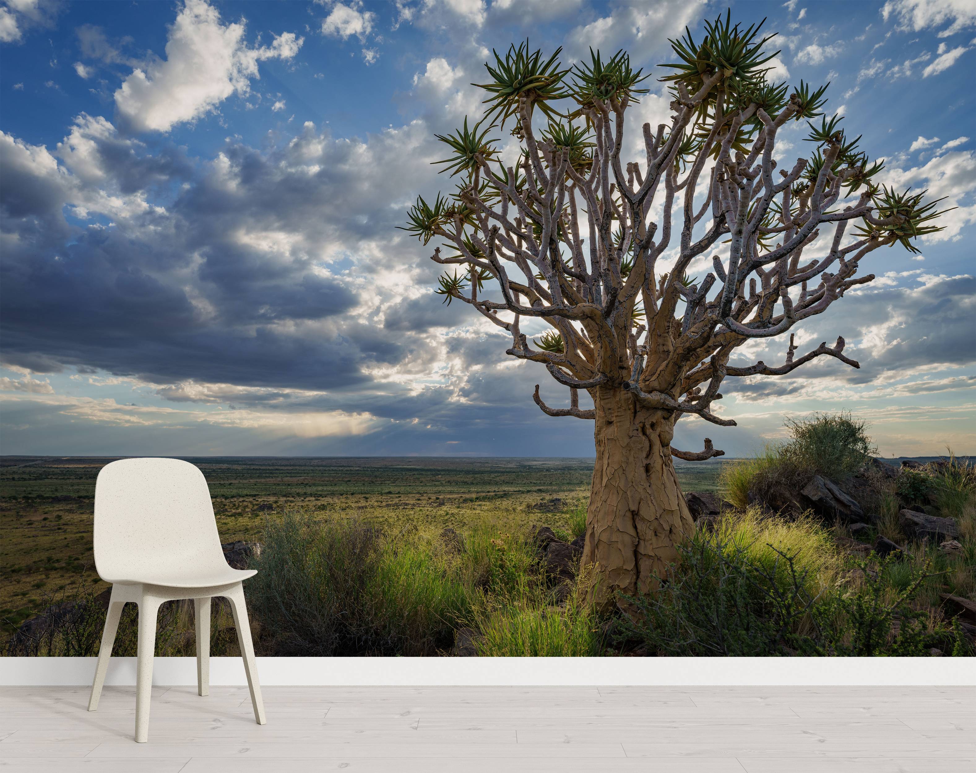 A photorealistic mural of a large Quiver tree overlooking a vast savanna landscape under a dramatic, cloudy blue sky.