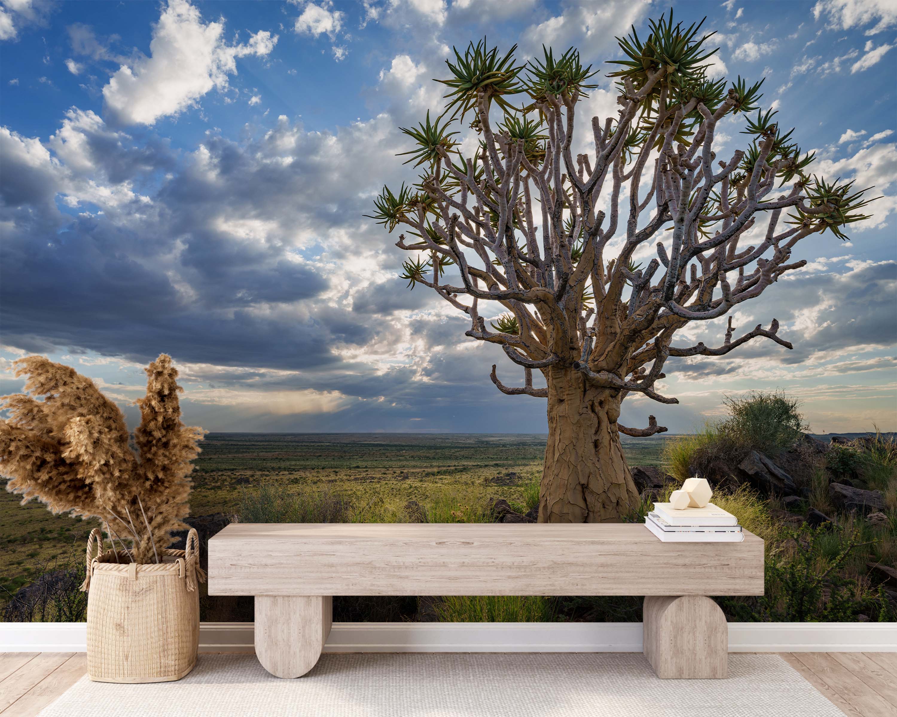 A photo mural of a large Quiver Tree in a vast African savanna under a dramatic, cloudy blue and gray sky.
