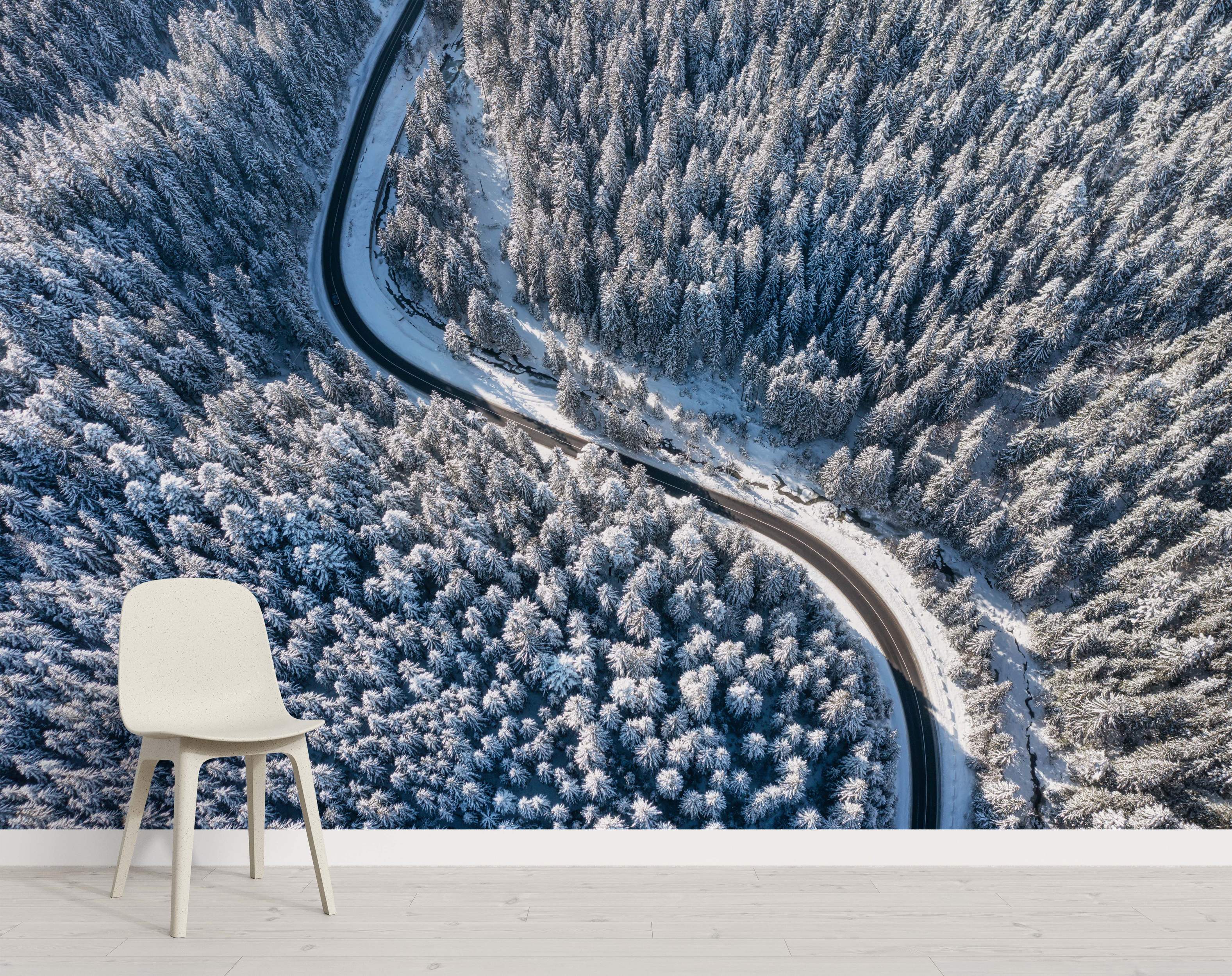 Aerial view mural of a winding black road cutting through a dense, snow-covered pine forest.