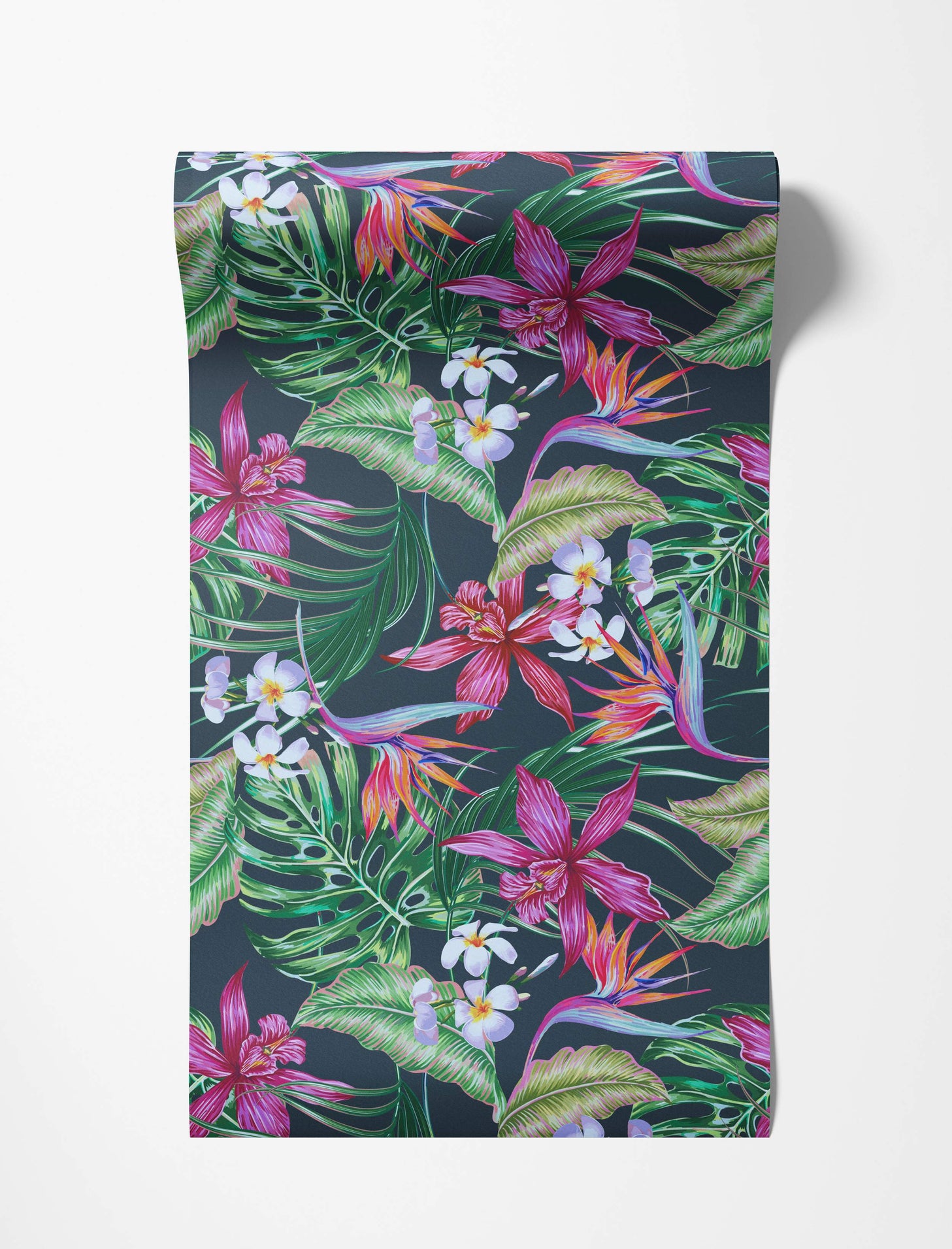 Vibrant tropical wallpaper with illustrated pink orchids, orange bird of paradise, white plumeria, and green leaves on a dark background.