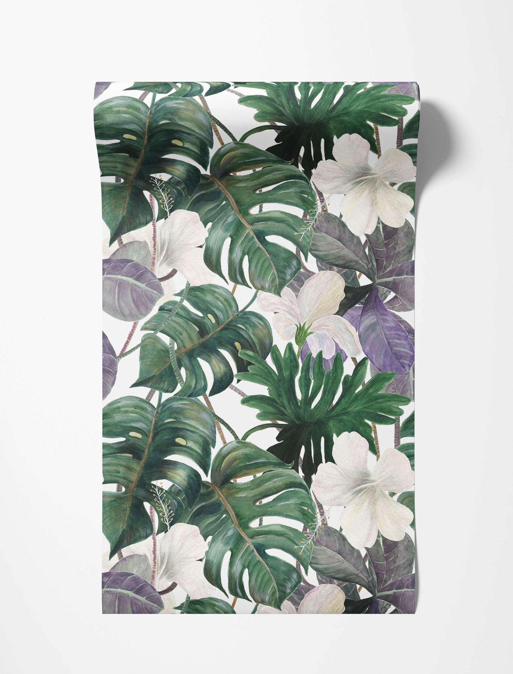 Tropical wallpaper with watercolor green monstera leaves, white hibiscus flowers, and dark purple foliage on a white background.