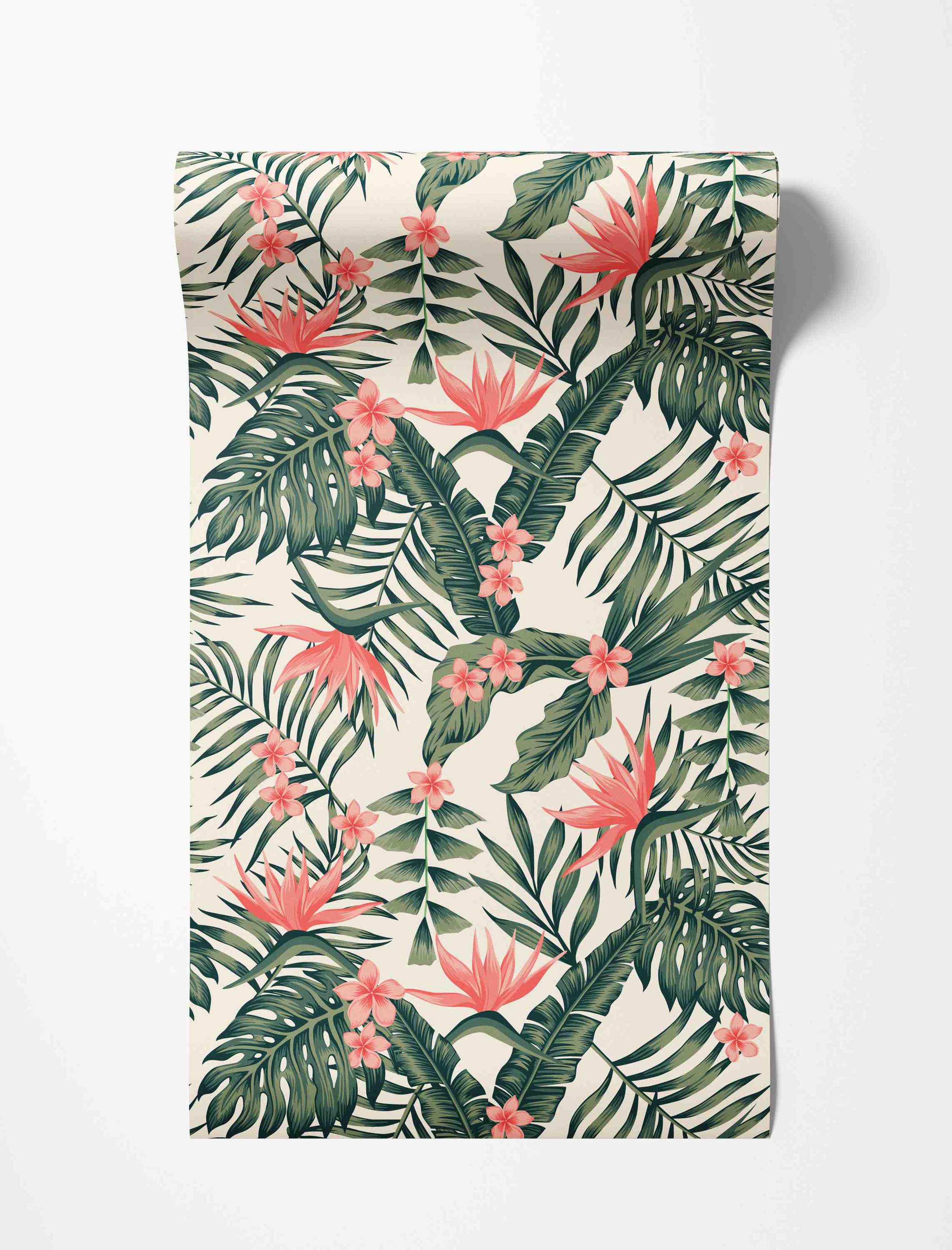 Tropical wallpaper with green palm, monstera, and banana leaves, accented by pink plumeria and bird of paradise flowers on a cream base.